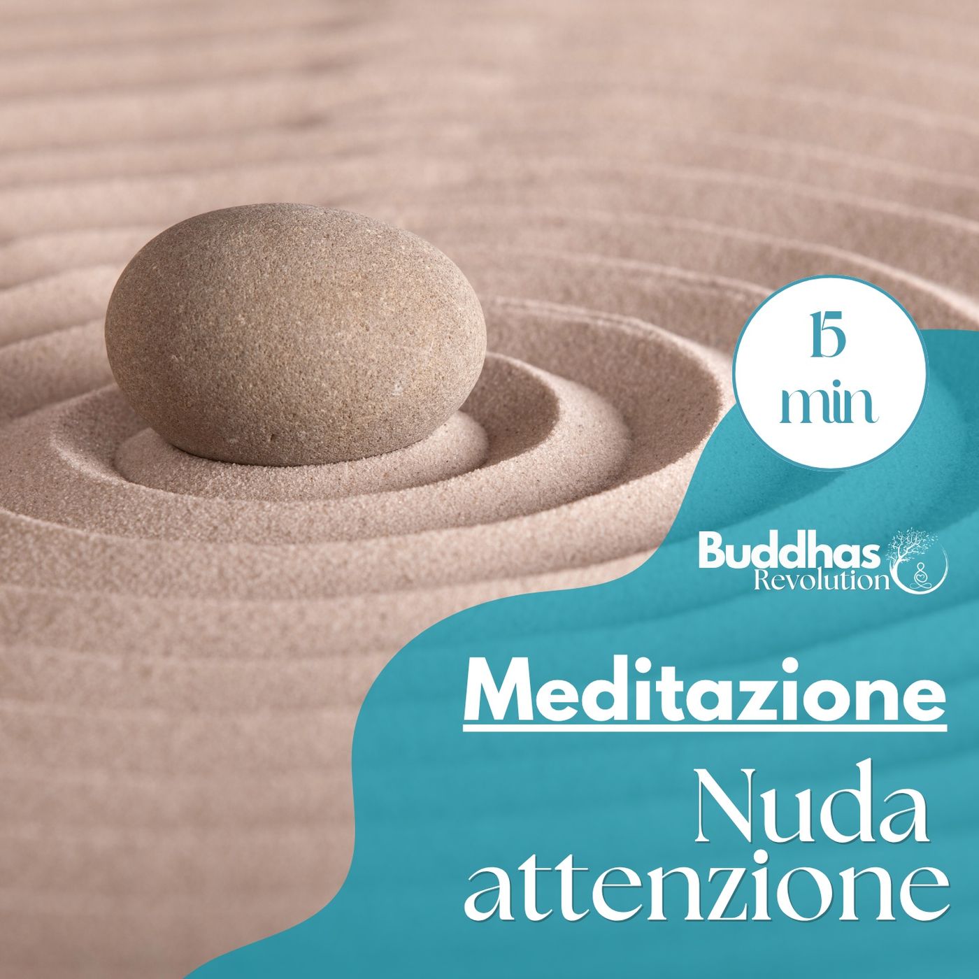 Buddhas Revolution