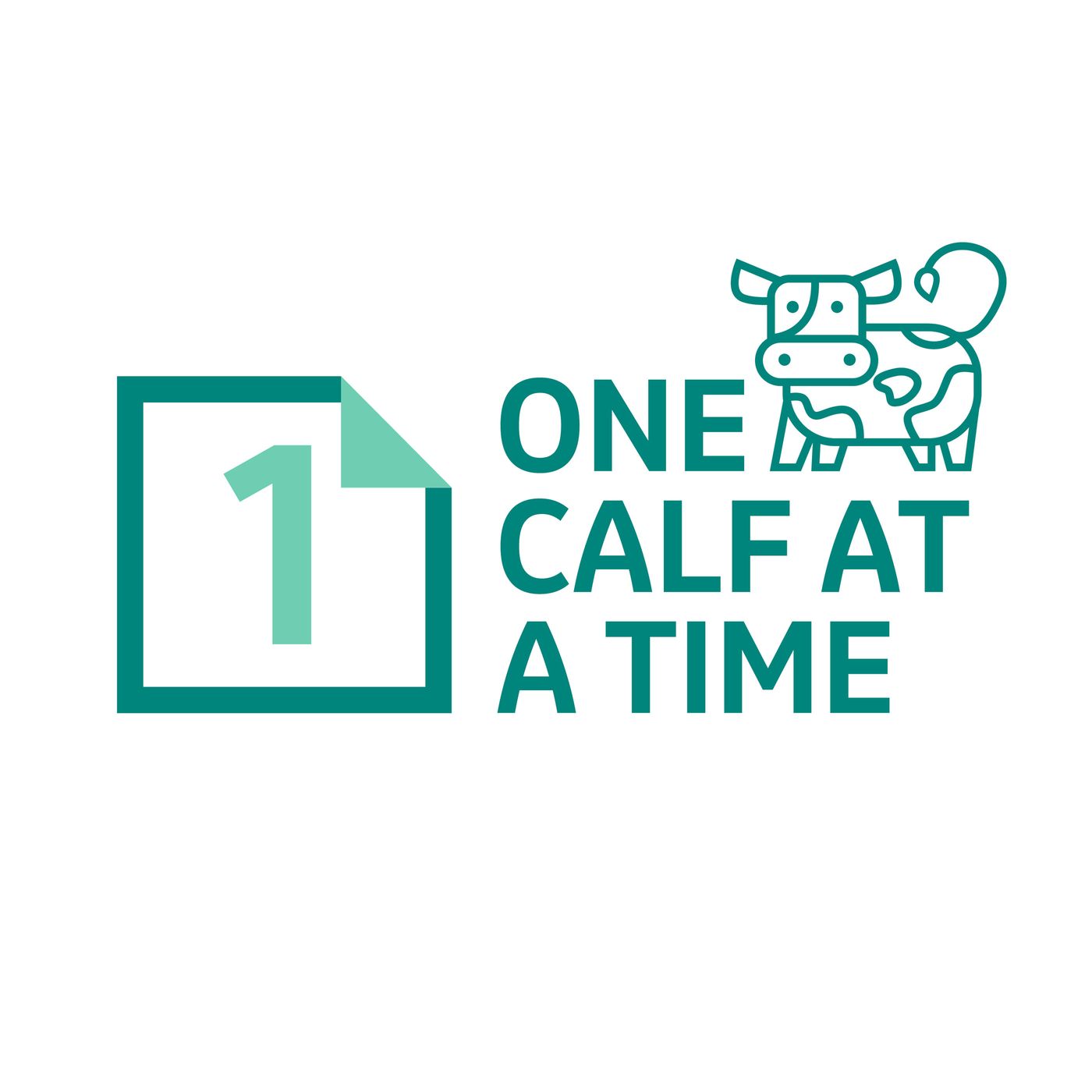 One Calf at a Time