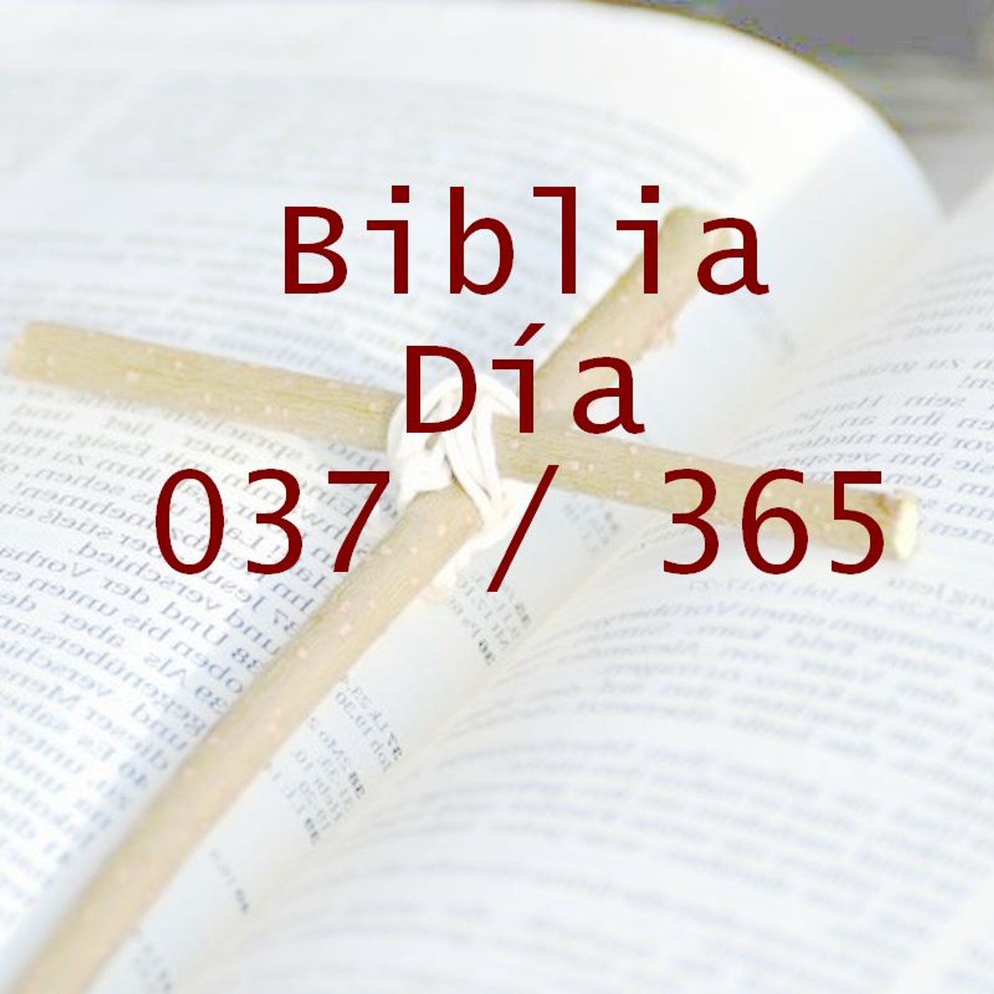 La Biblia en 365 dias