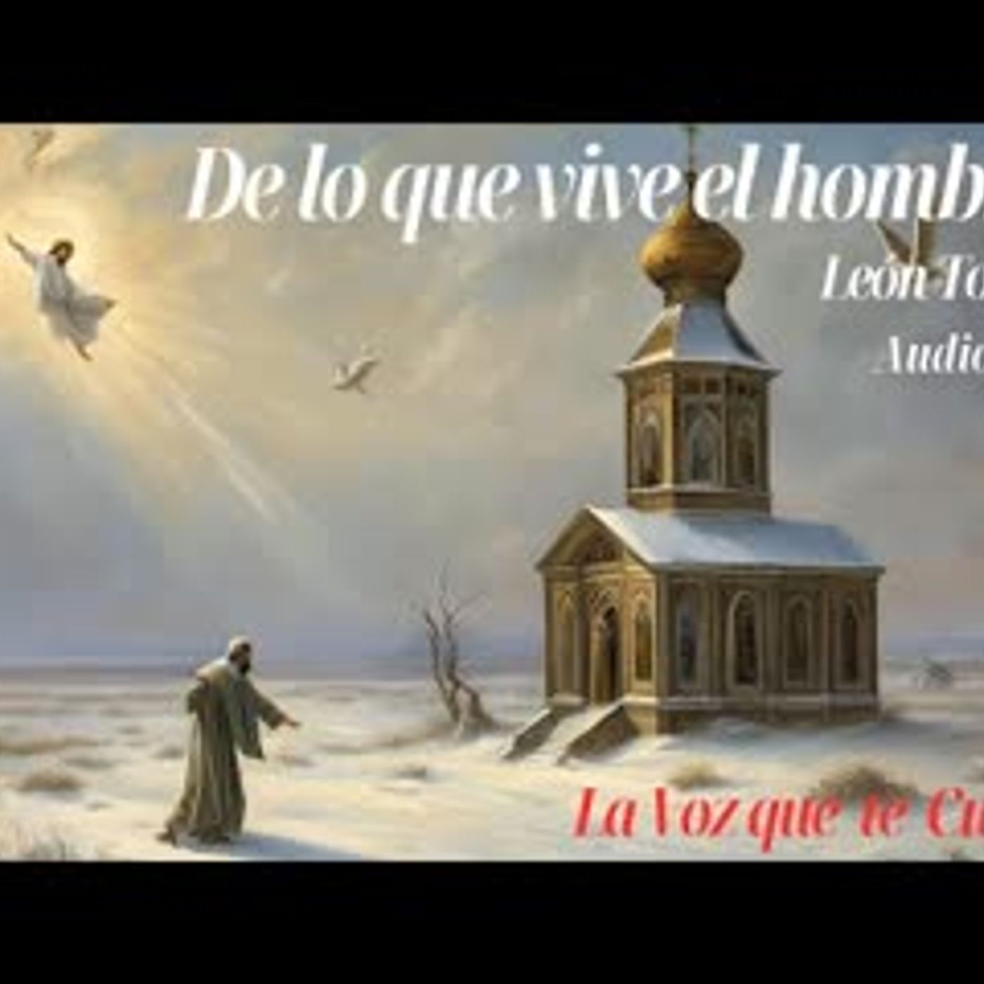 Audiolibro En Español