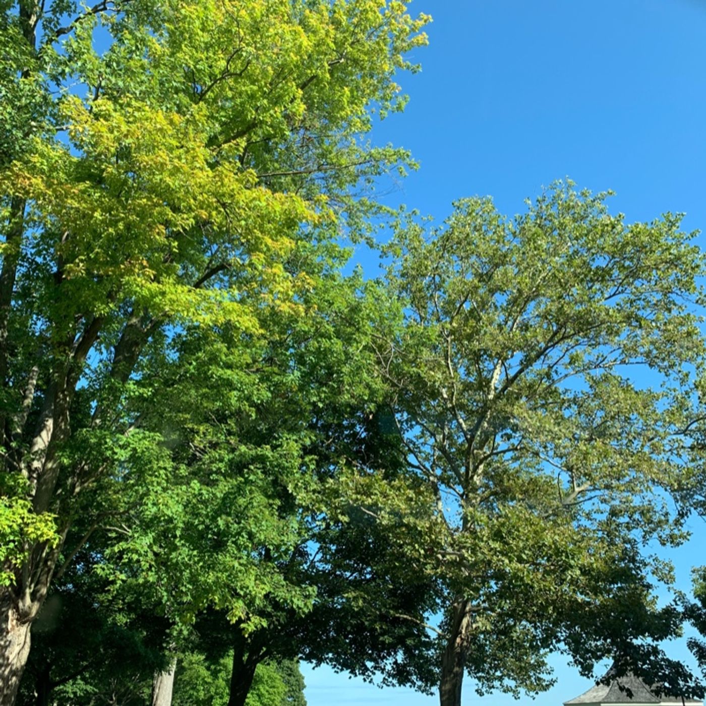 Prayer on the Go! - with Bishop Deb