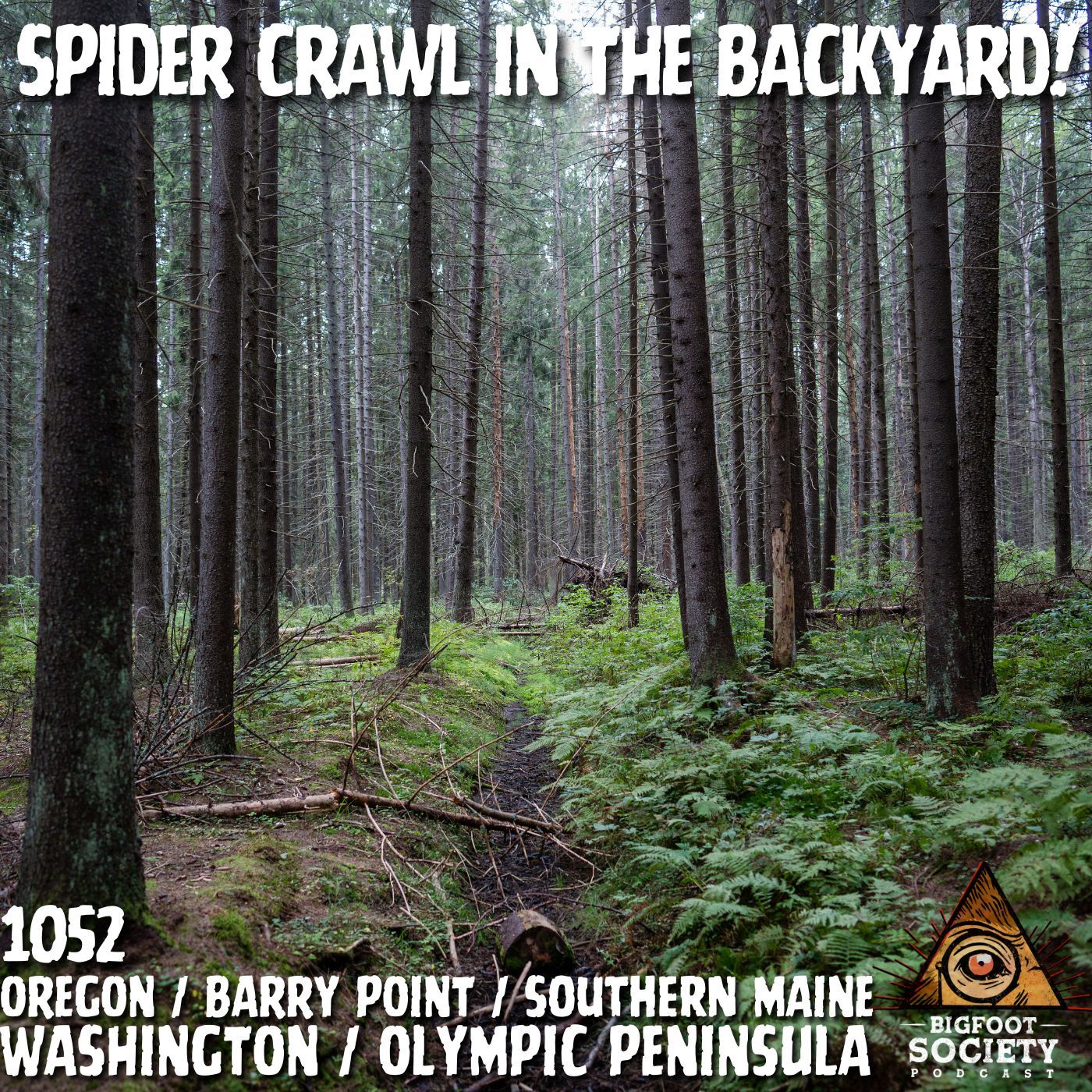 Spider Crawl Bigfoot in the Backyard!