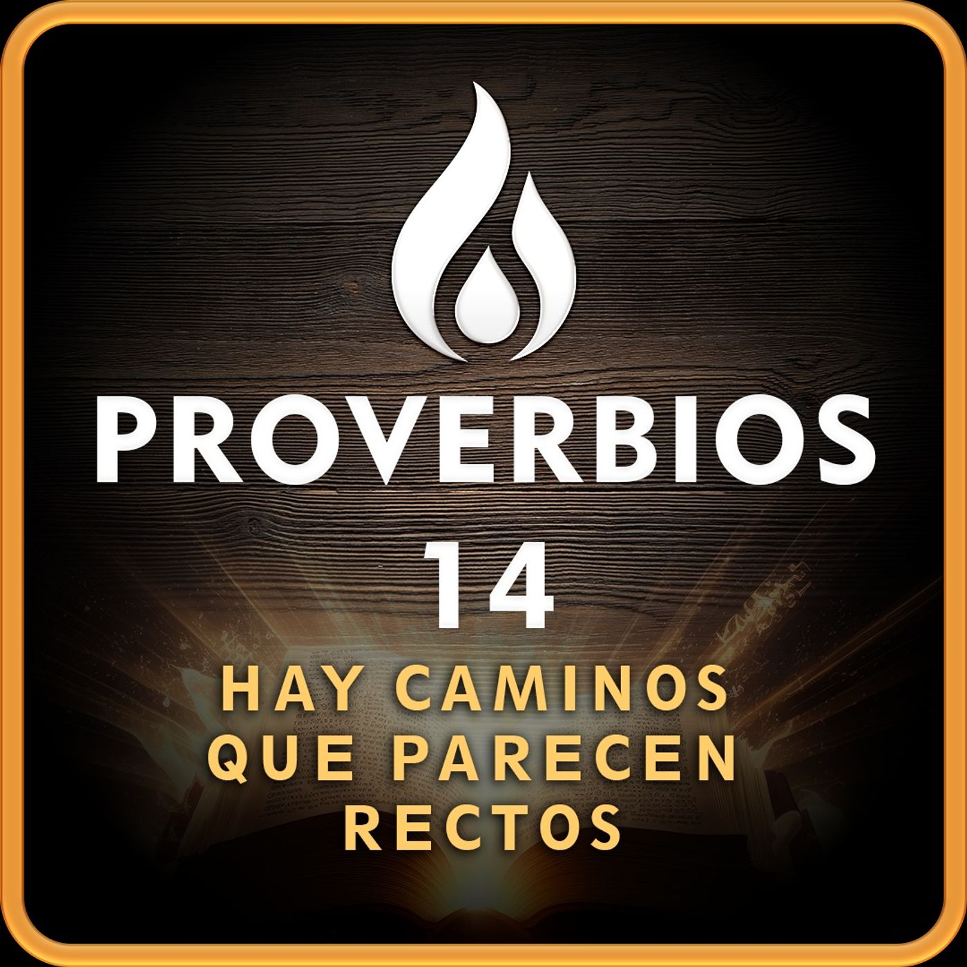 Proverbios 14 — Hay Caminos que Parecen Rectos | Biblia en Audio (RV 1909)
