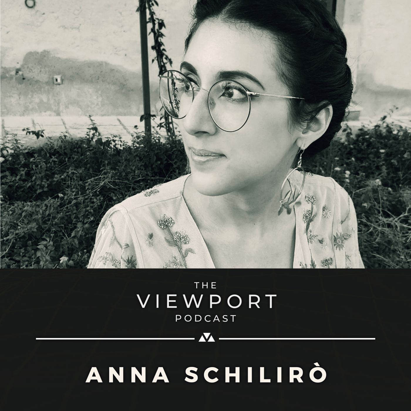 The Viewport Podcast