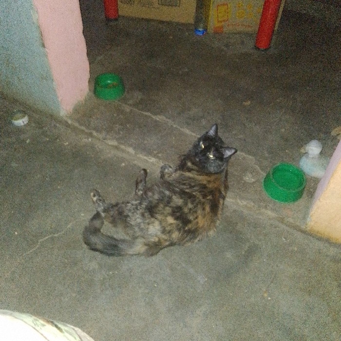 El podcast de Jonathan Díaz capo Zapala