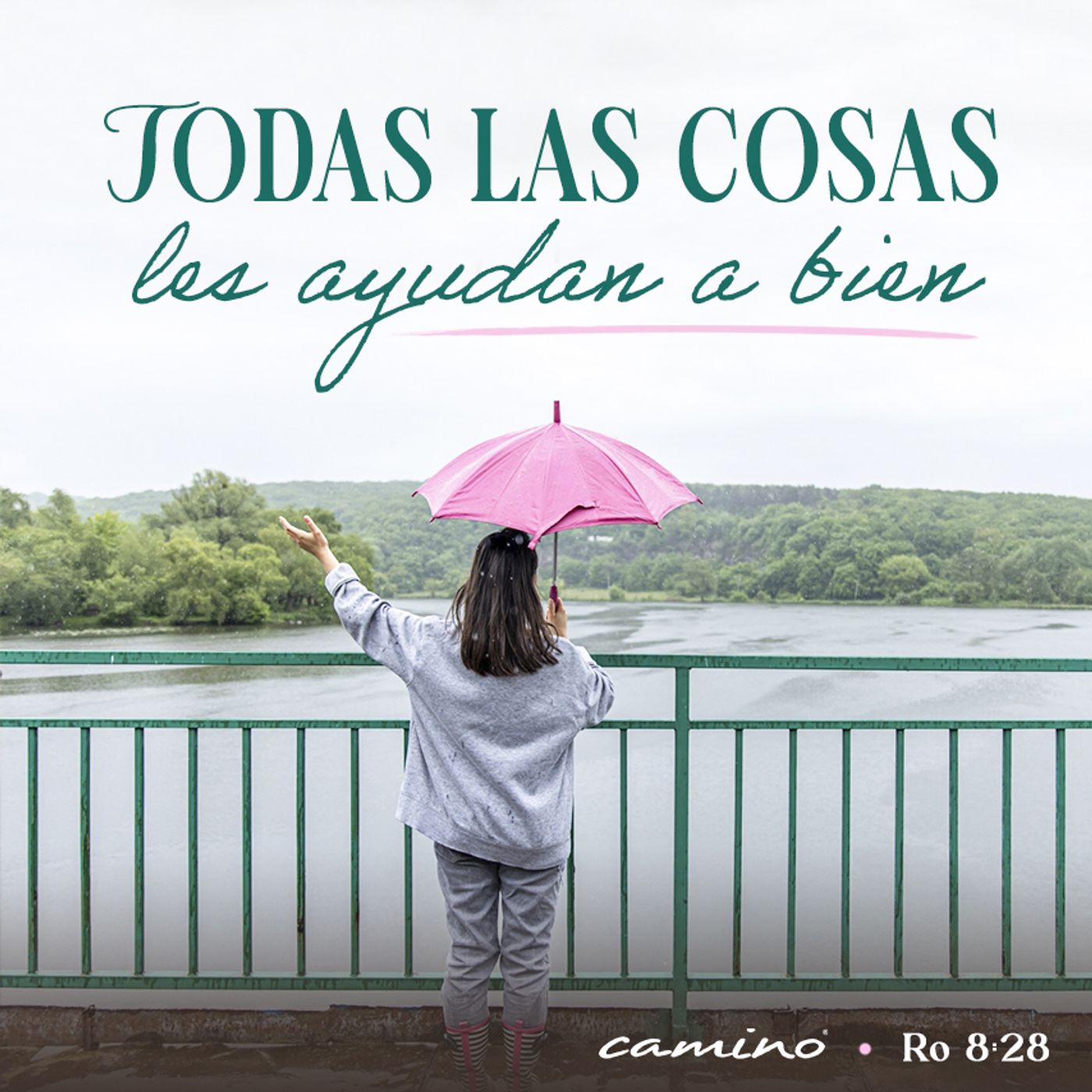 Oración 29 de octubre  (Todas las cosas les ayudan a bien) episode artwork