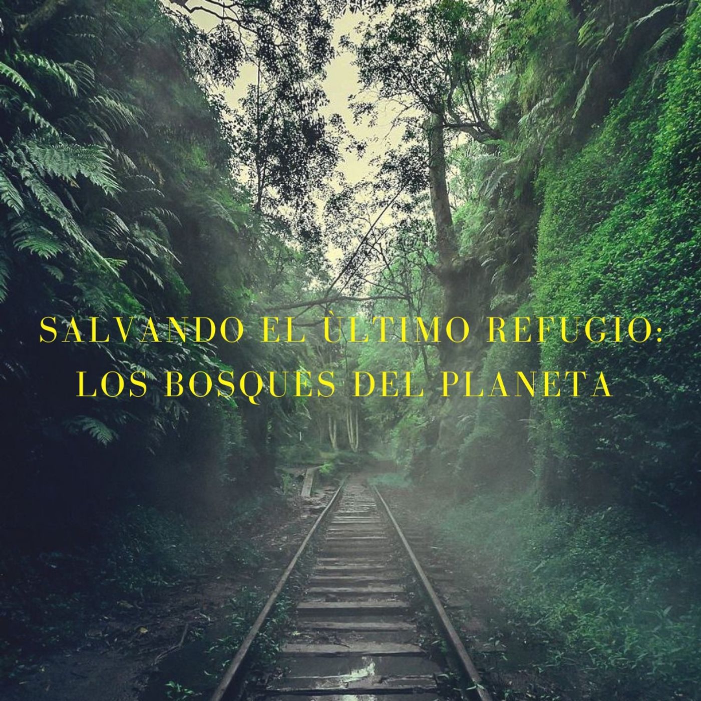 TREN FUGITIVO
