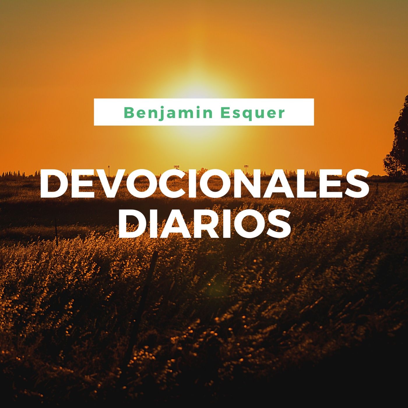 Devocionales Diarios