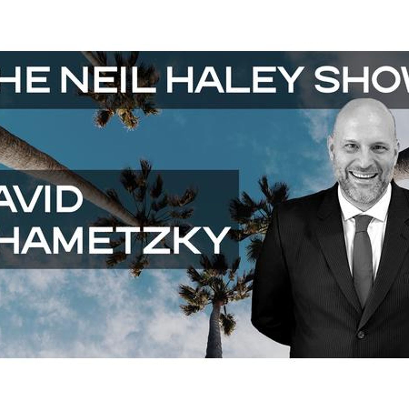 David Chametzky episode artwork