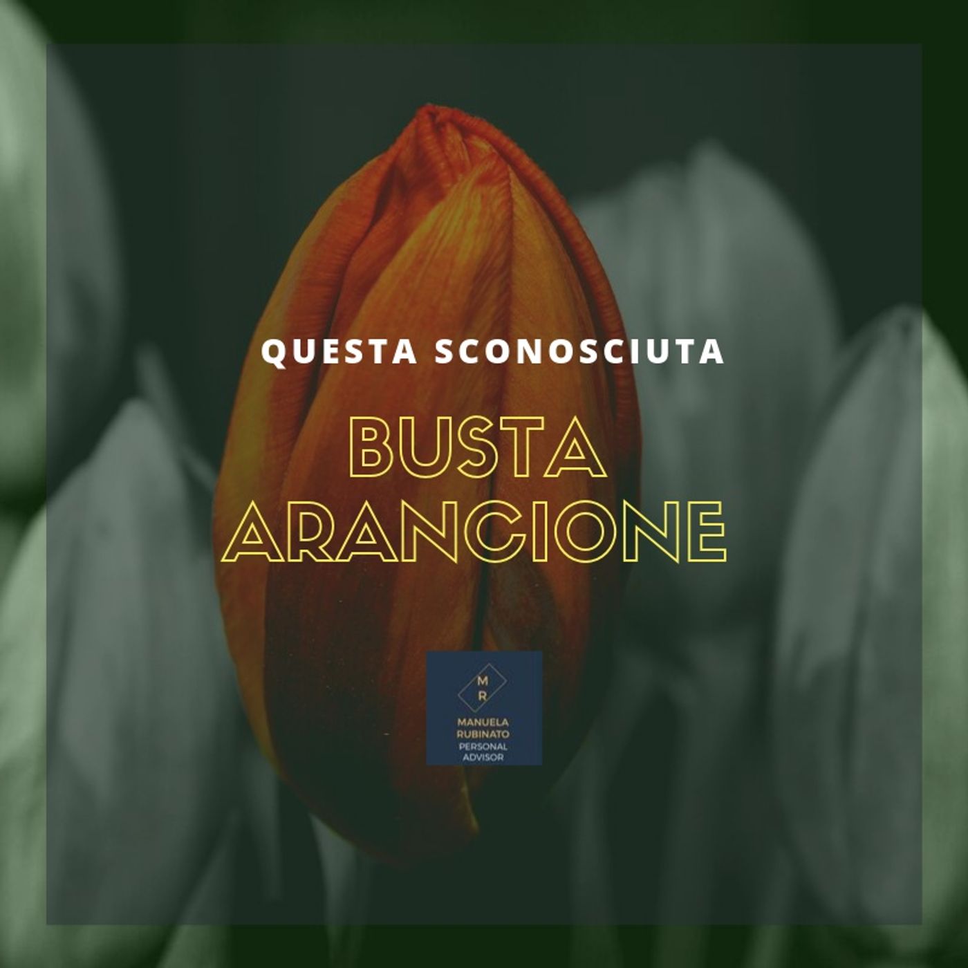 Verso l\'Educazione Finanziaria