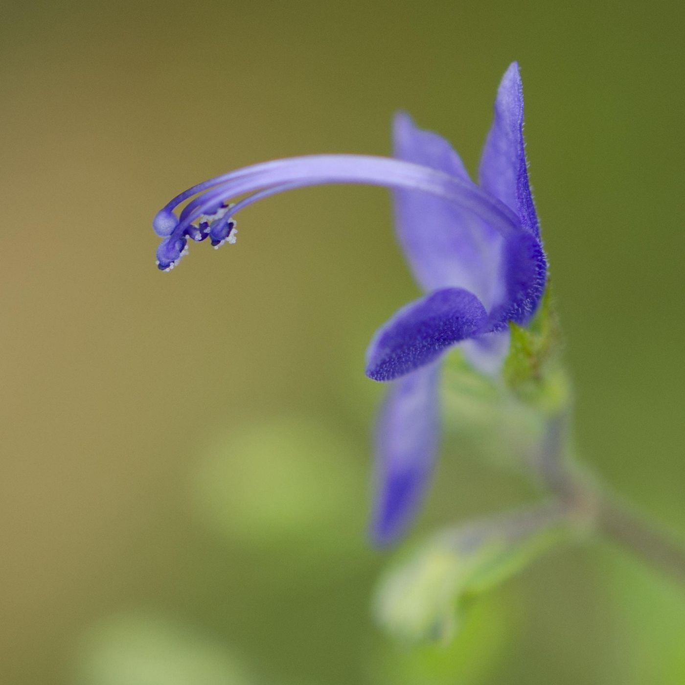 2025-08-10 By Faith (Pastor Mike Schutz)