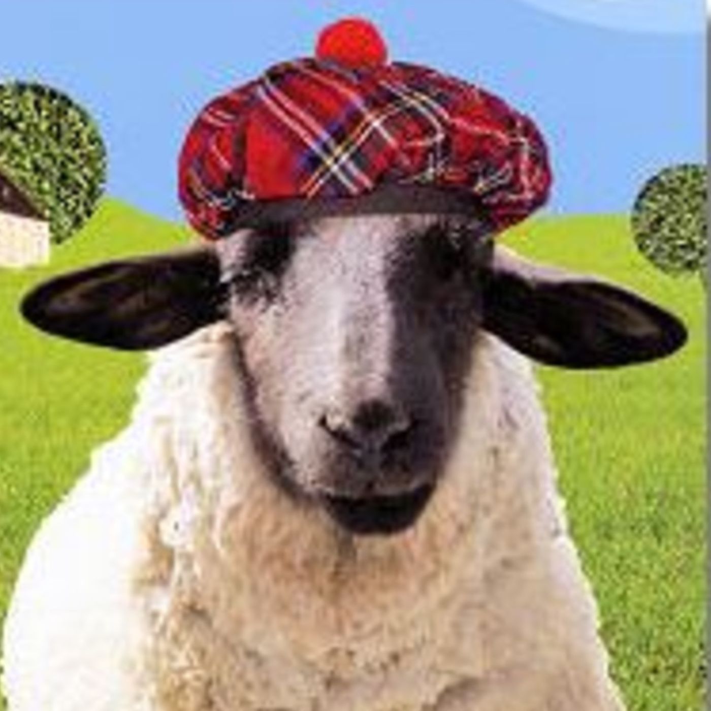 Ford's 'Och'-us (St Andrew's Day Special)