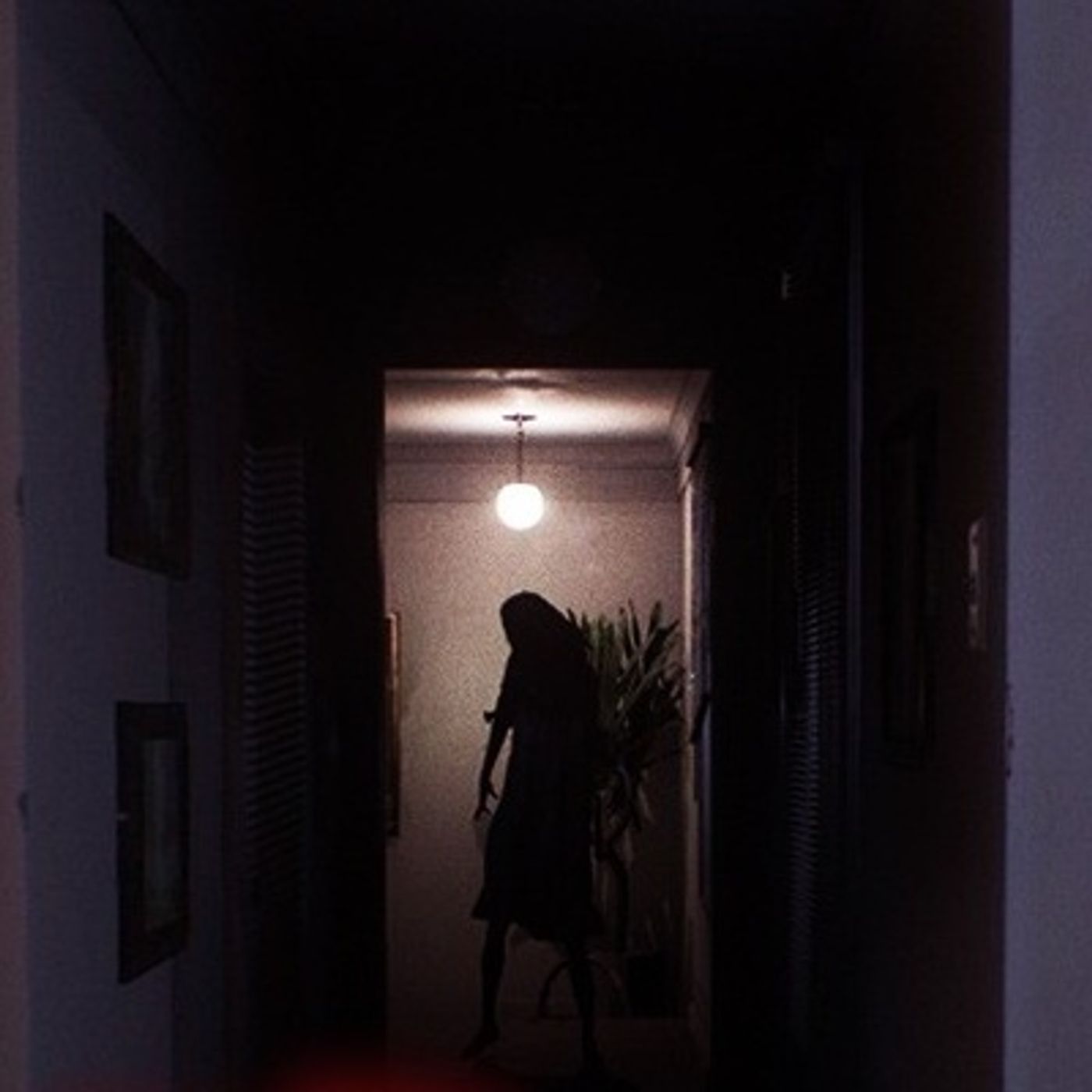 El Departamento De La BRUJA Historias De Terror - REDE