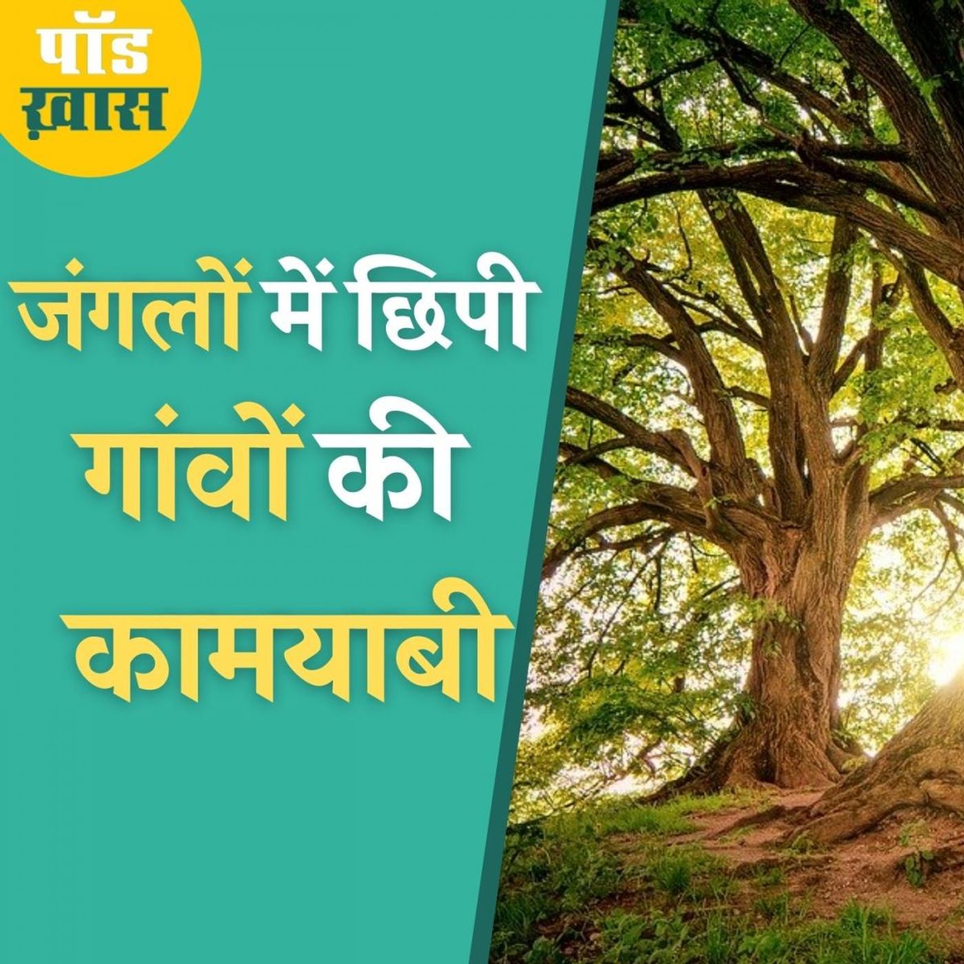 वो तरीक़े जिससे जंगल तो बचे ही, लोगों की आमदनी भी बढ़ी