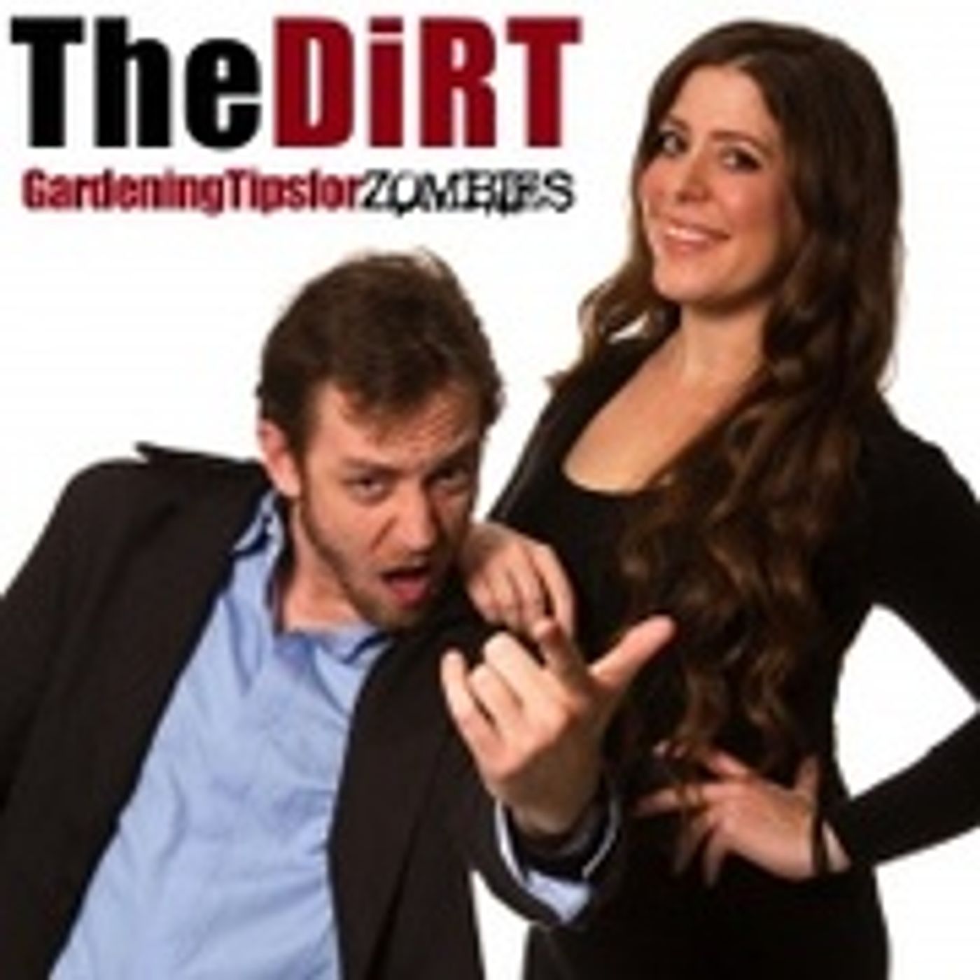 The DiRT
