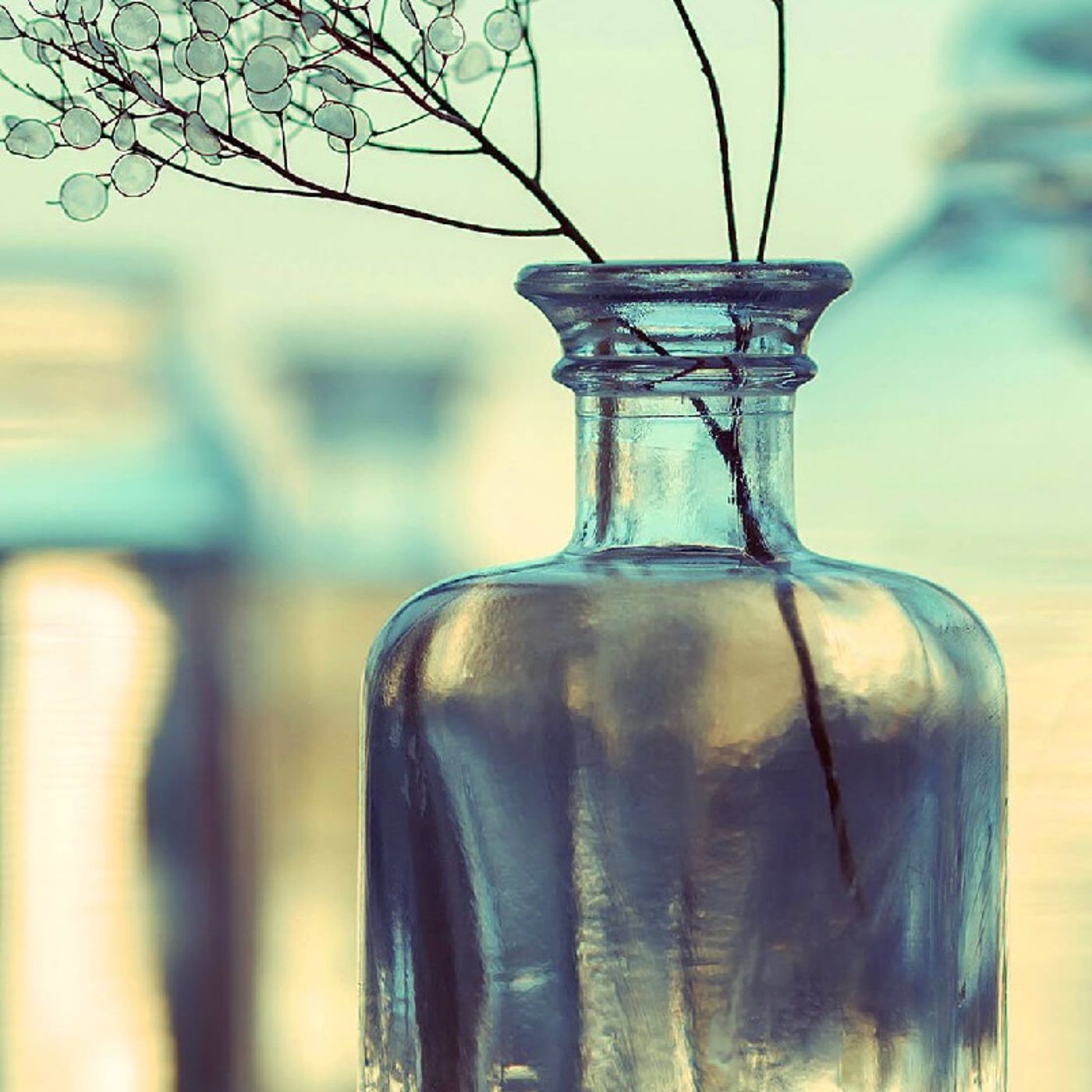 El show de Laura Elisa