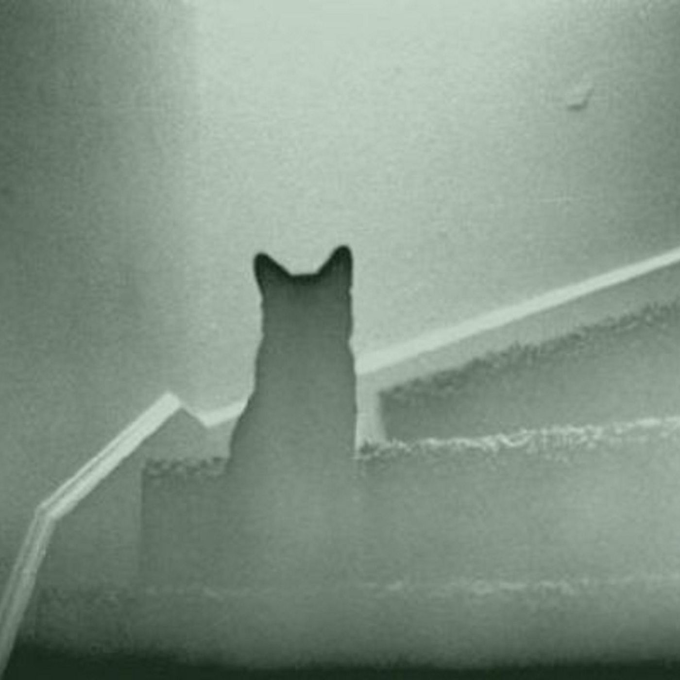 329 Animal Hauntings