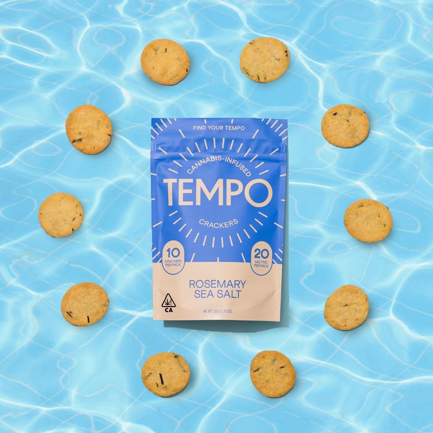 Terp Talks | ft. Robert Holland from  TEMPO Edibles episode artwork
