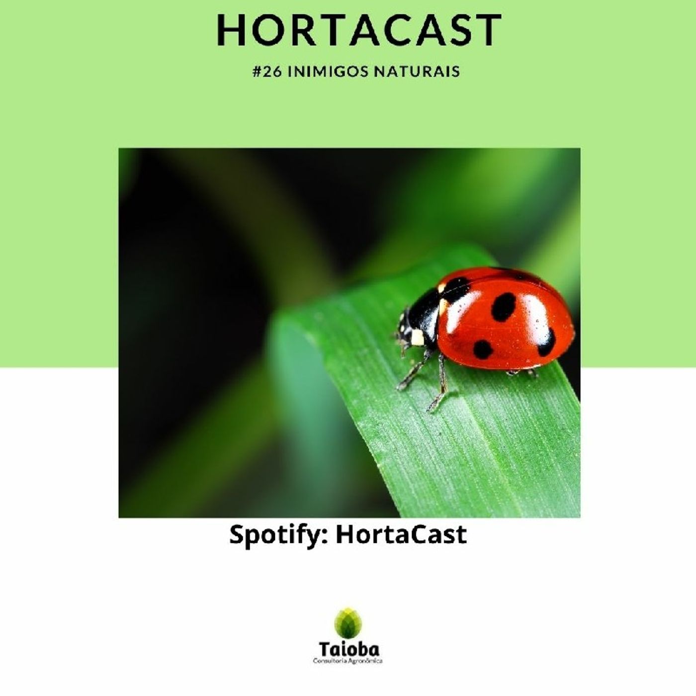 HortaCast\'s show