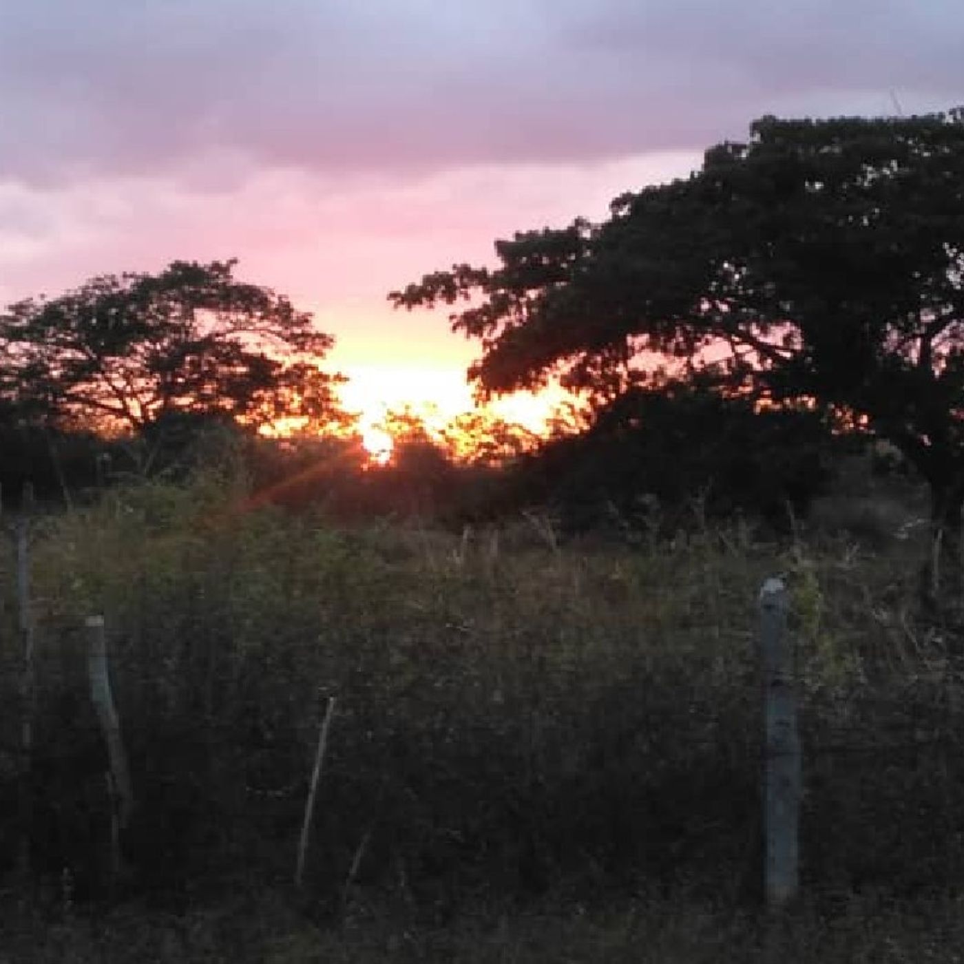 El RAYO Del Llano