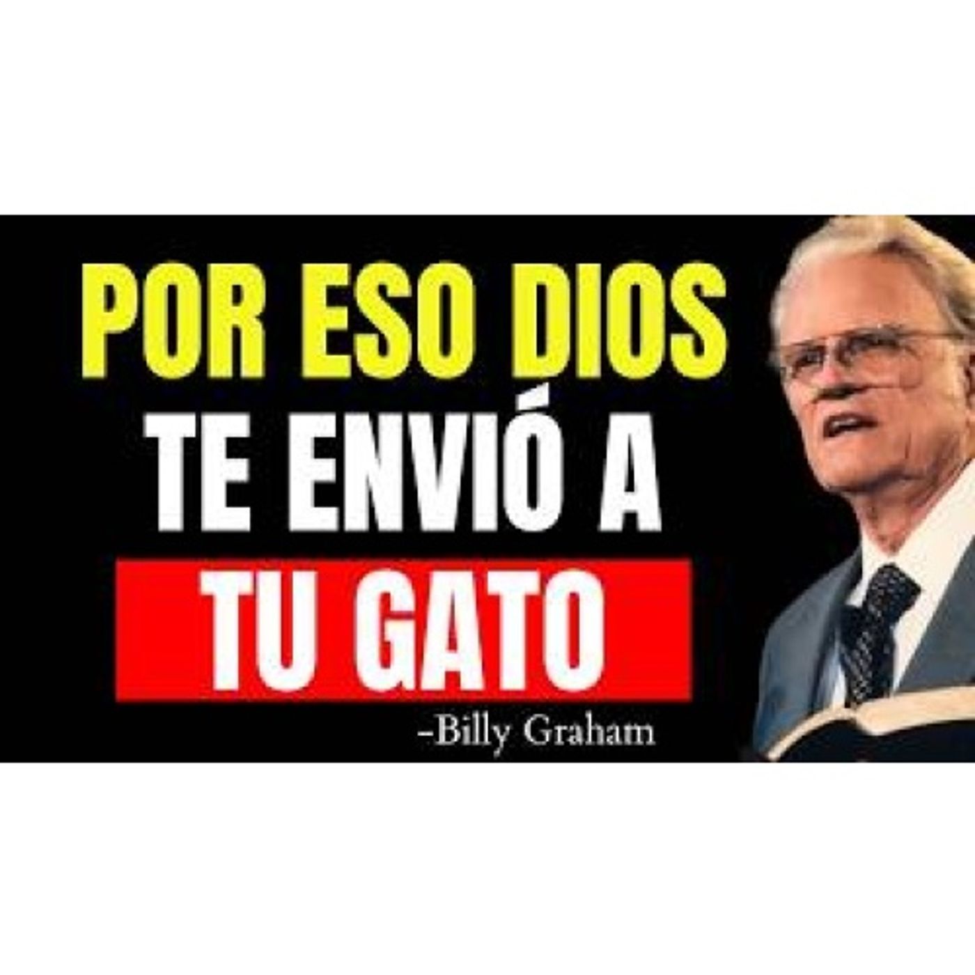 Lo que la biblia dice sobre amar a los animales - Predicas Cristianas Diarias episode artwork