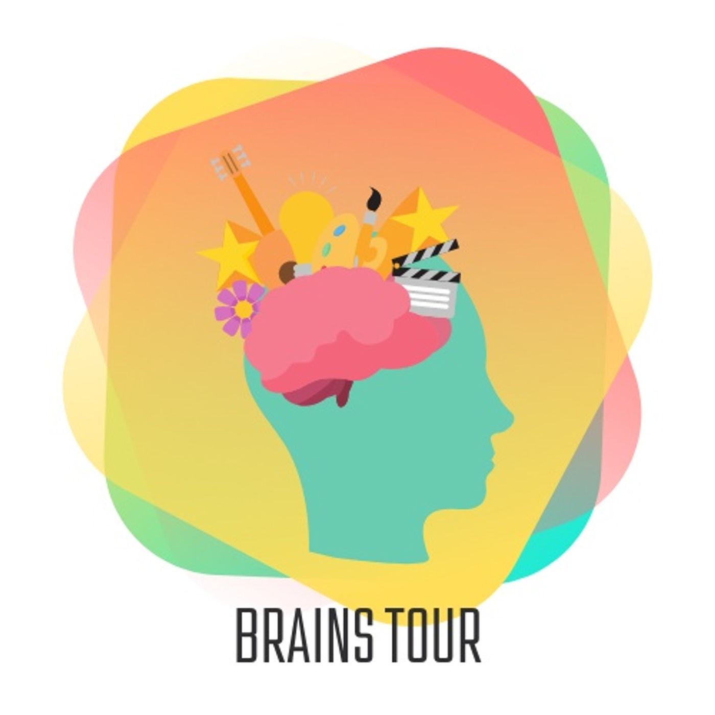 ¿Cómo funciona el cerebro?