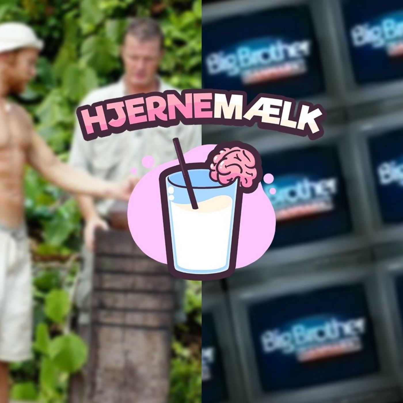 Hjernemælk