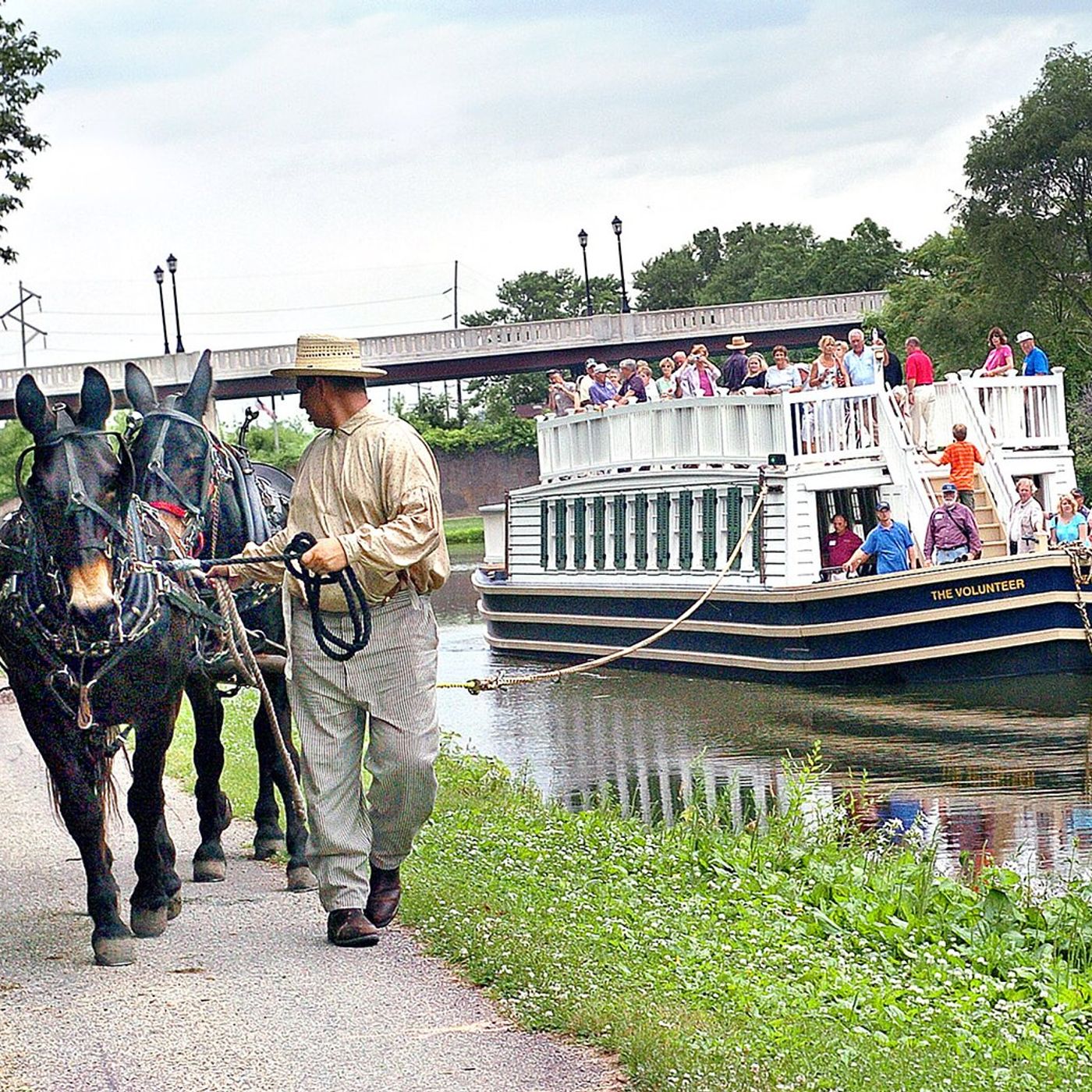 ‘He likes to have a little job’: I&M Canal mules thriving in new environments episode artwork