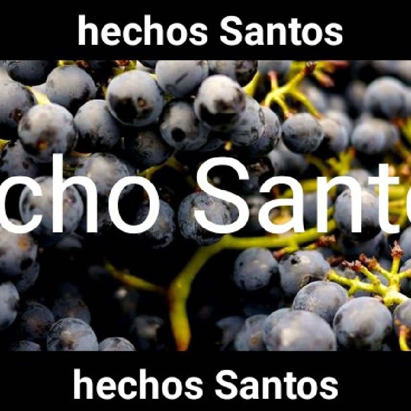 La Elección Perfecta