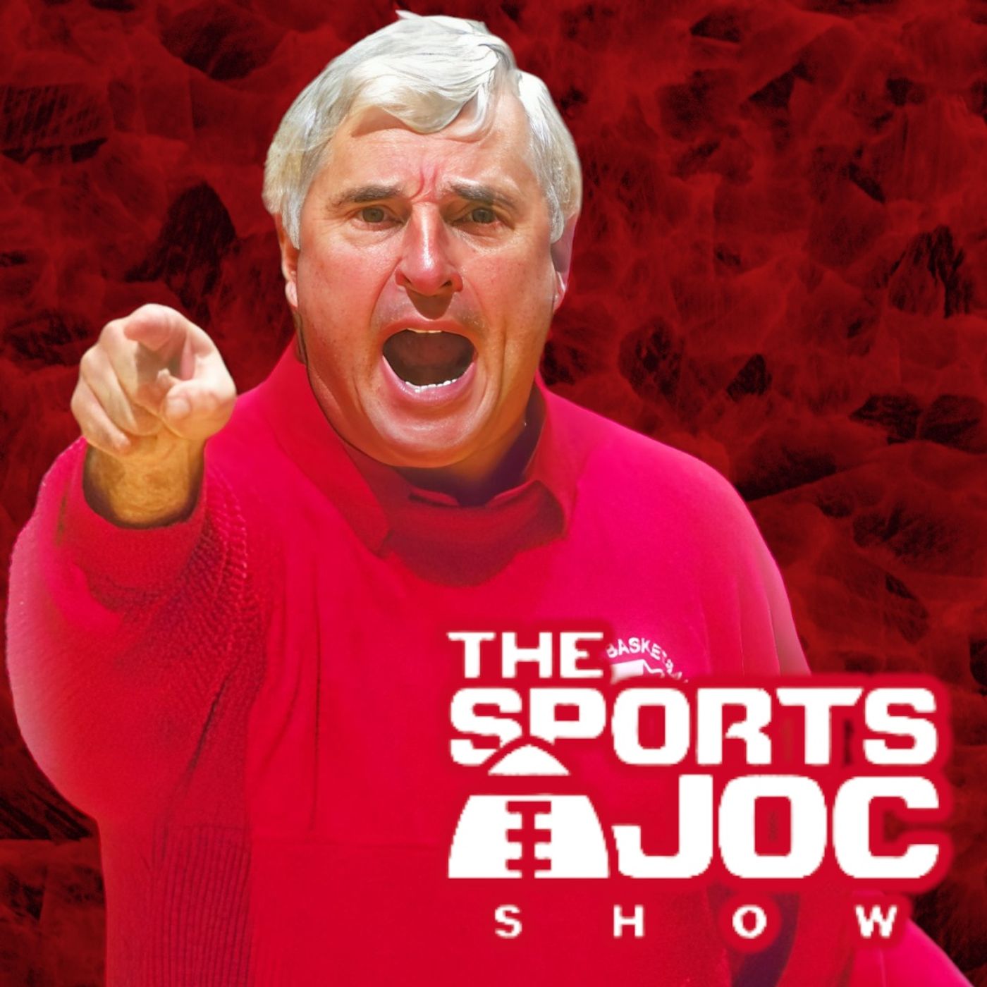 The Sports Joc Show with Wayne Gandy