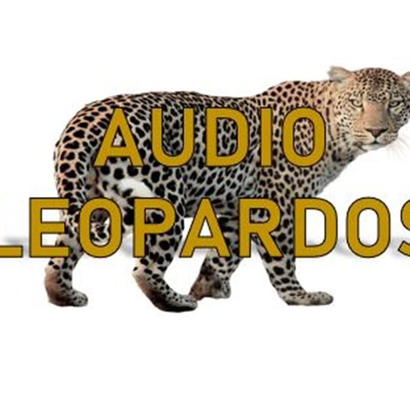 Audio Leopardos