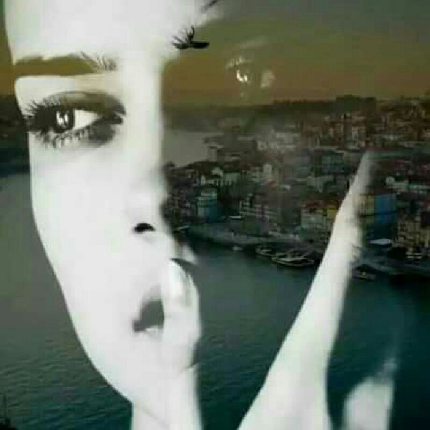 بانوی شعرهای مه آلود حسین منزوی episode artwork