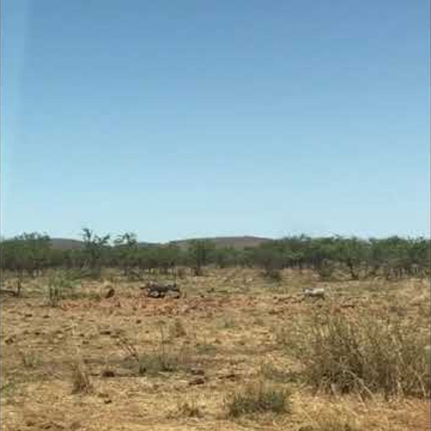 Safari África Safari África