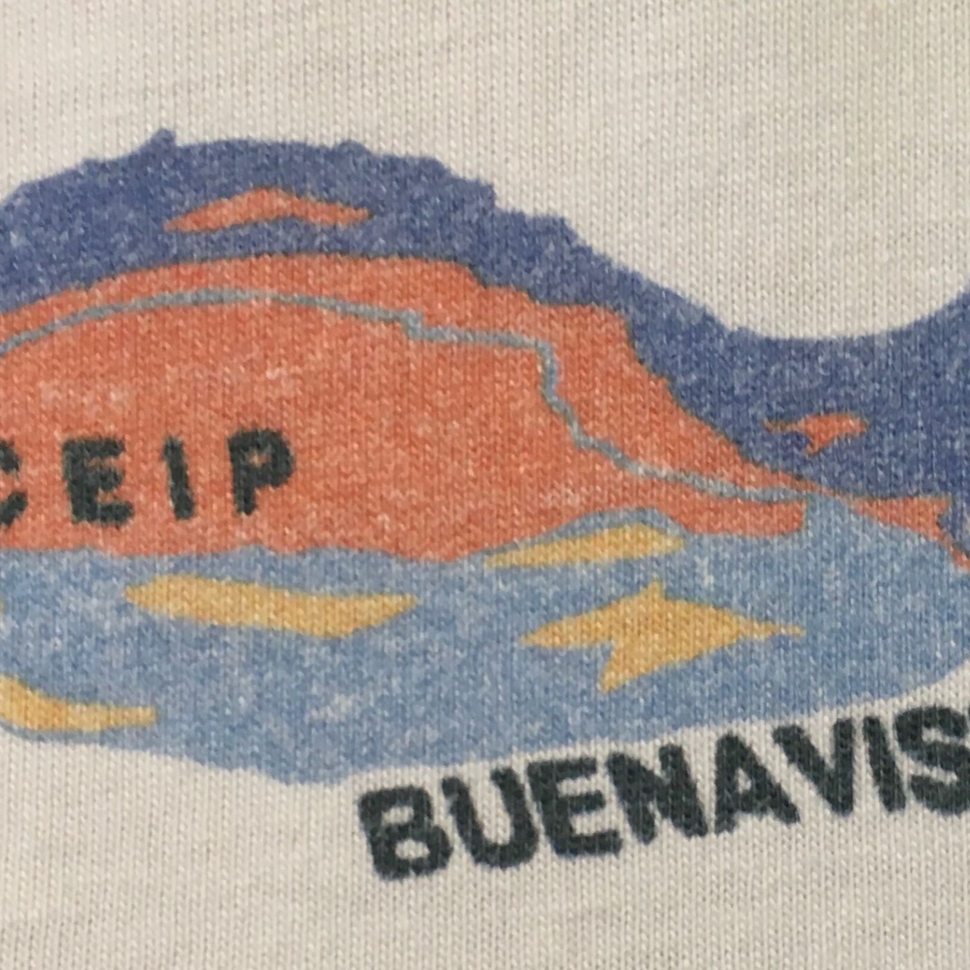 Semana Del Día Del Libro Y De Las Letras