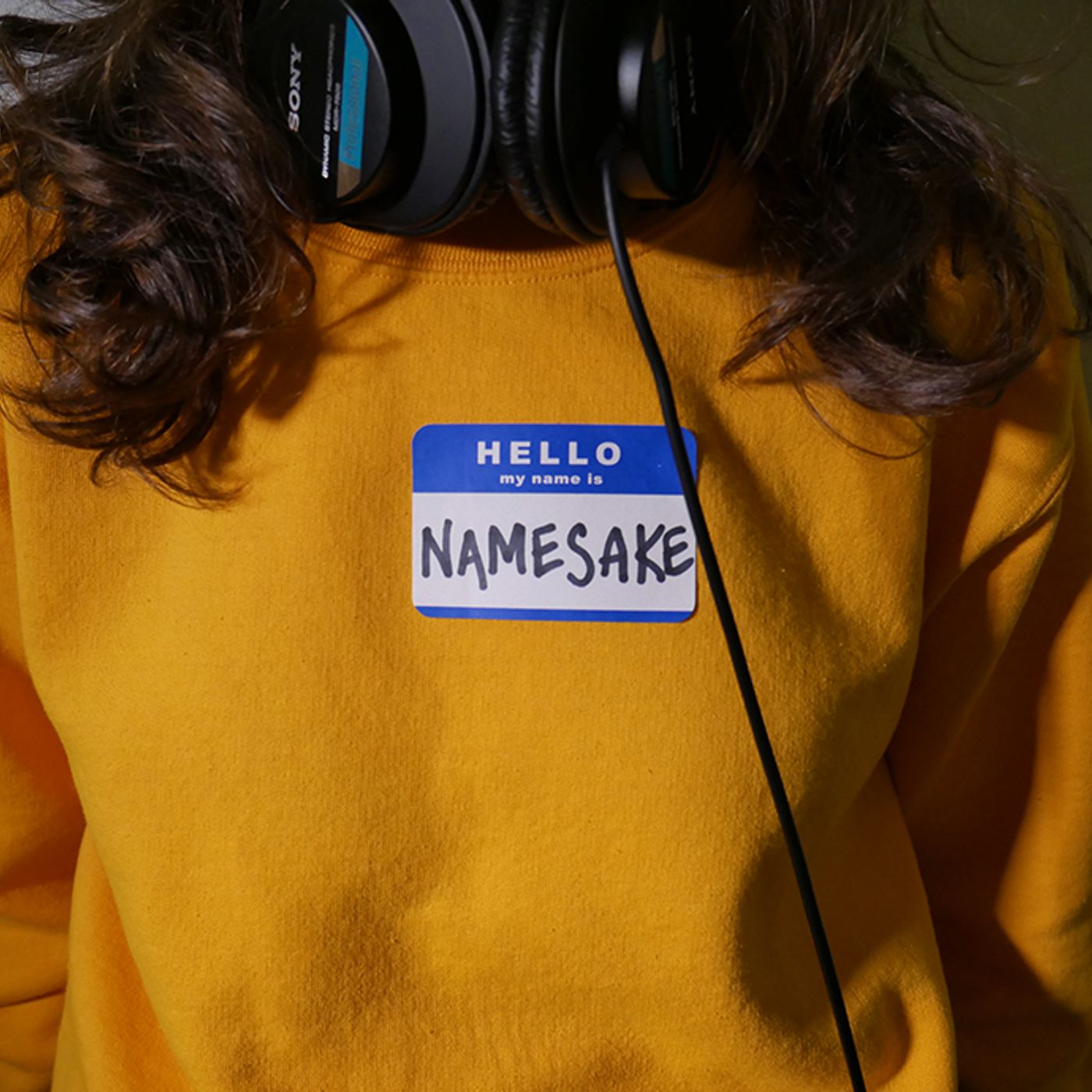 Episode 1: The Name of the Game Episode 1: The Name of the Game