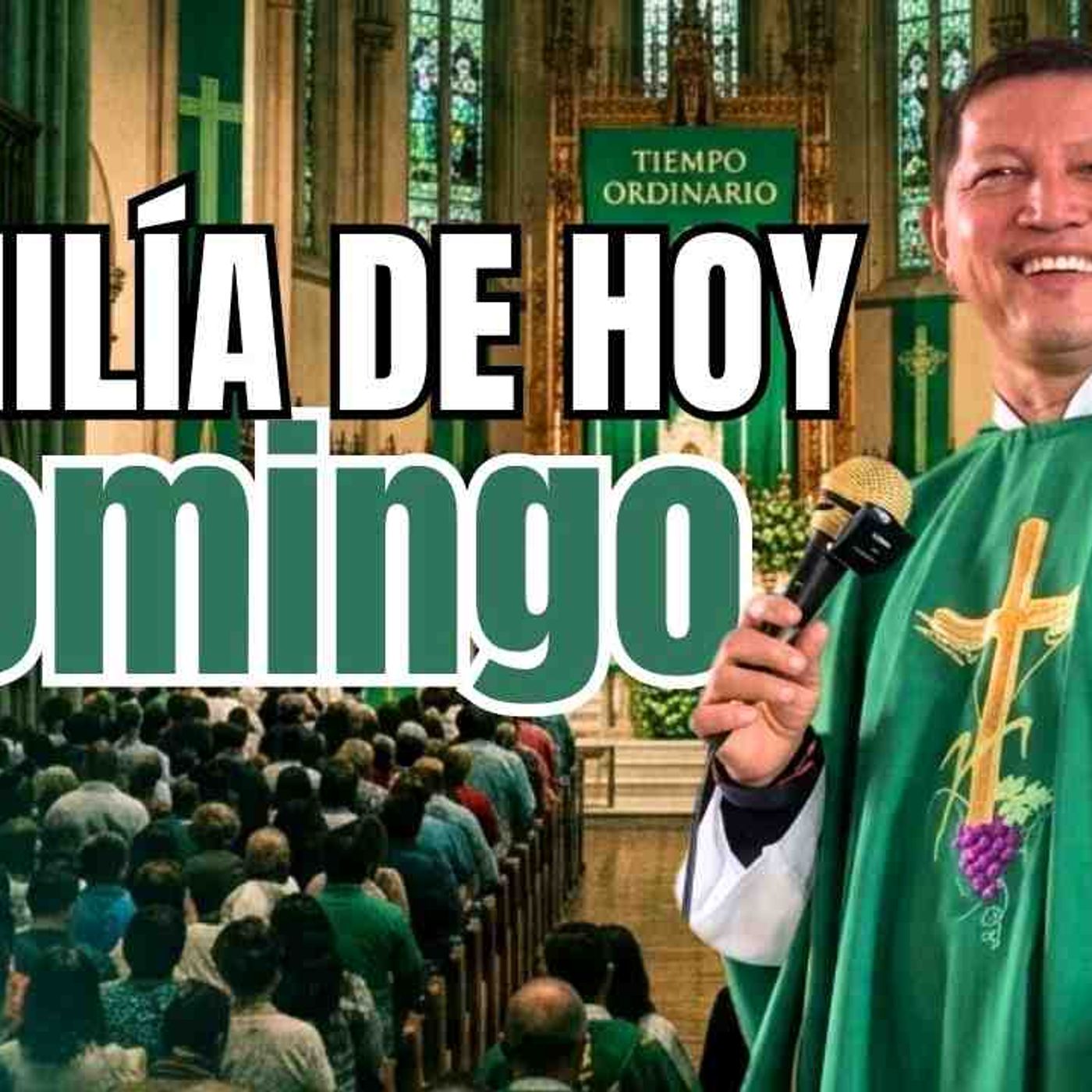 Esto dice la PALABRA DE DIOS  HOMILÍA DE HOY DOMINGO  PADRE LUIS TORO episode artwork