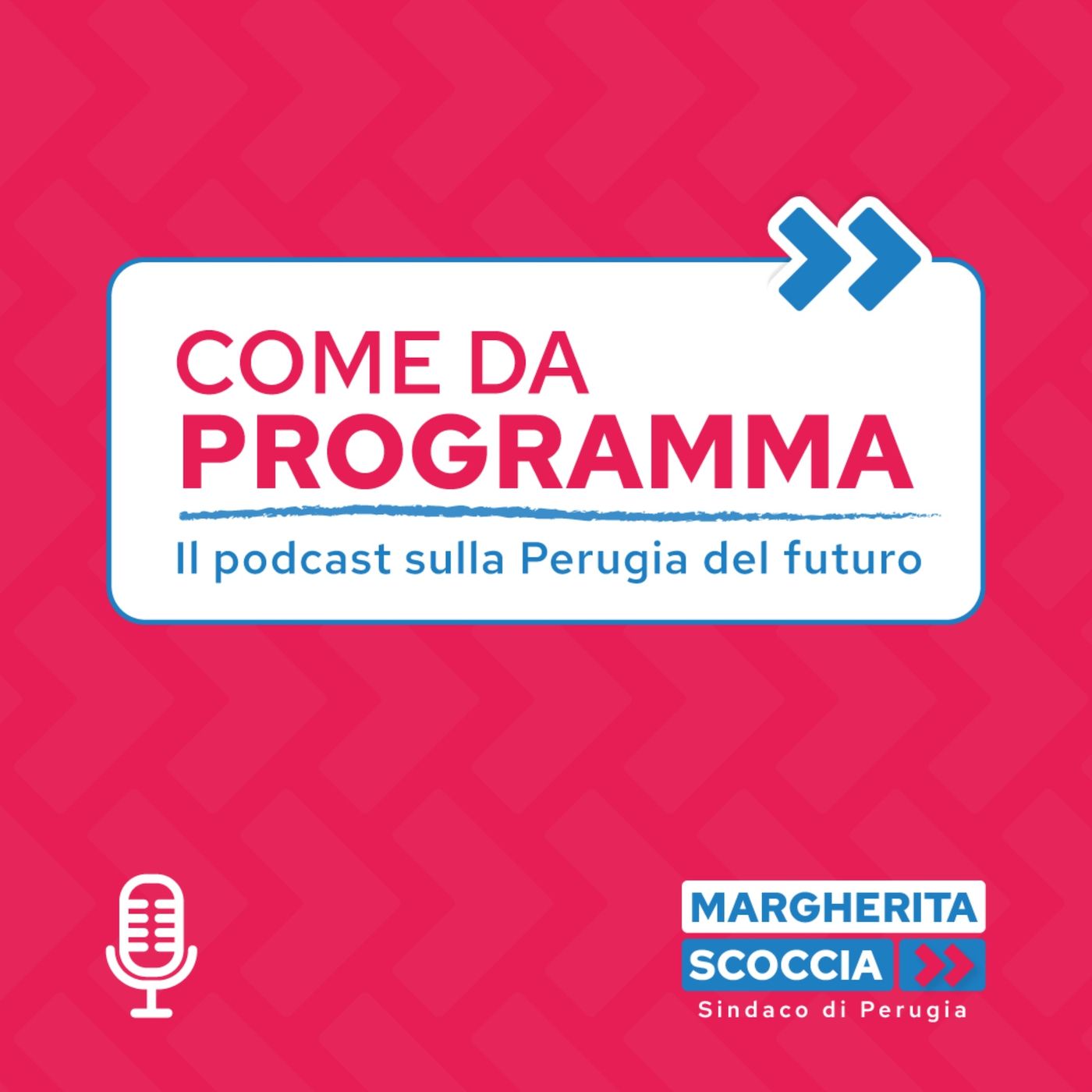 Come da programma