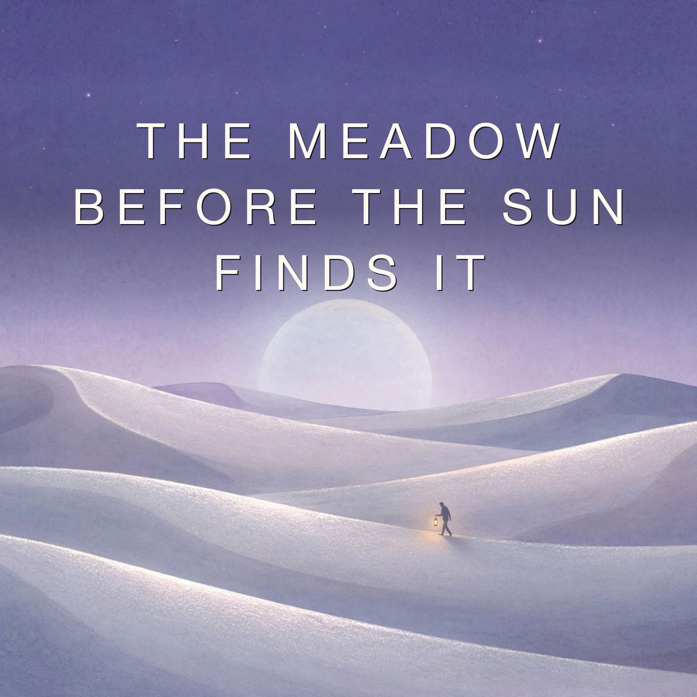 The Meadow Before the Sun Finds It