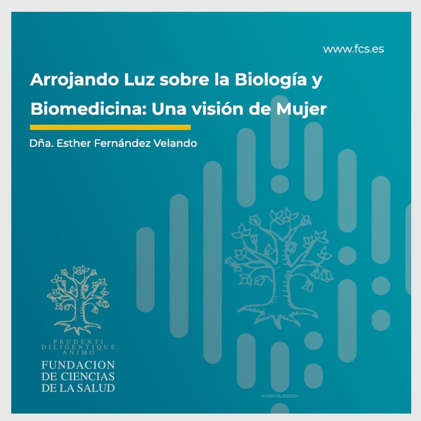 Ciencia y Tecnología: Visión de la Mujer