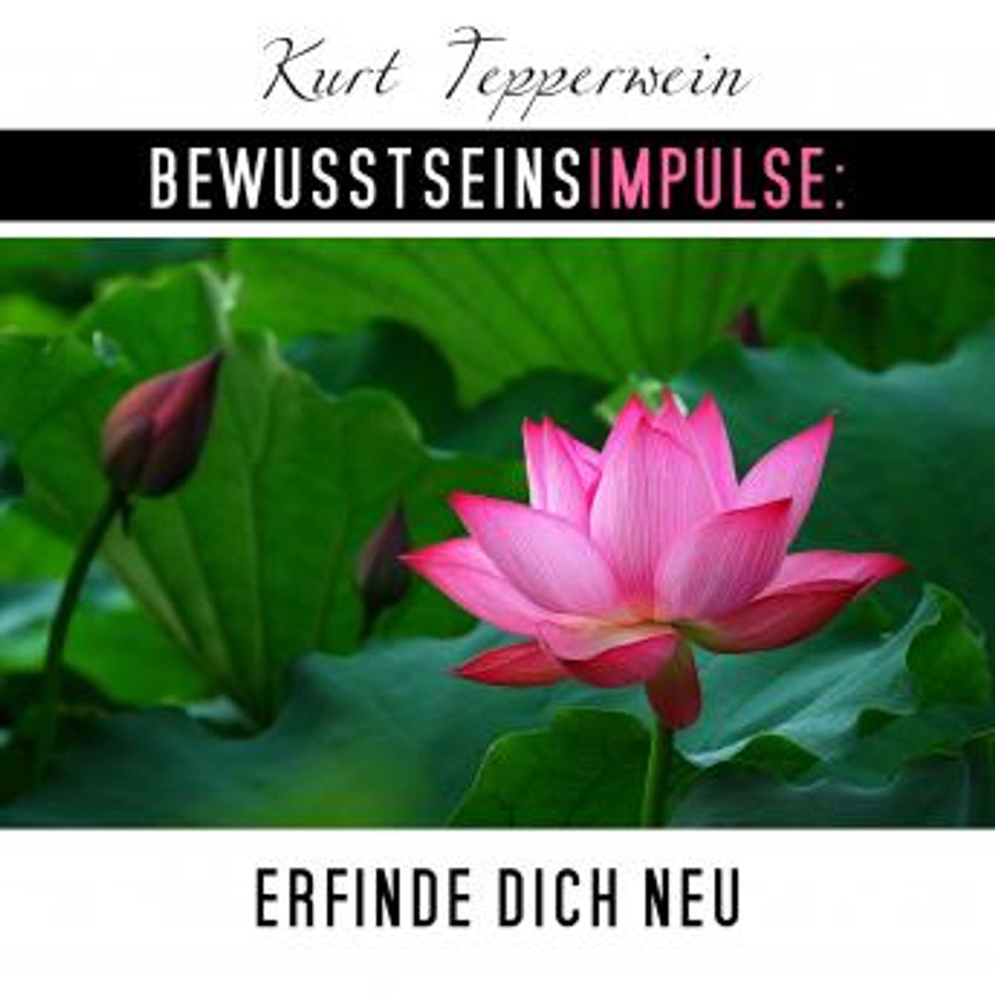 Listen to Top Full Audiobooks in Health & Wellness, Fitness, Diet & Nutrition