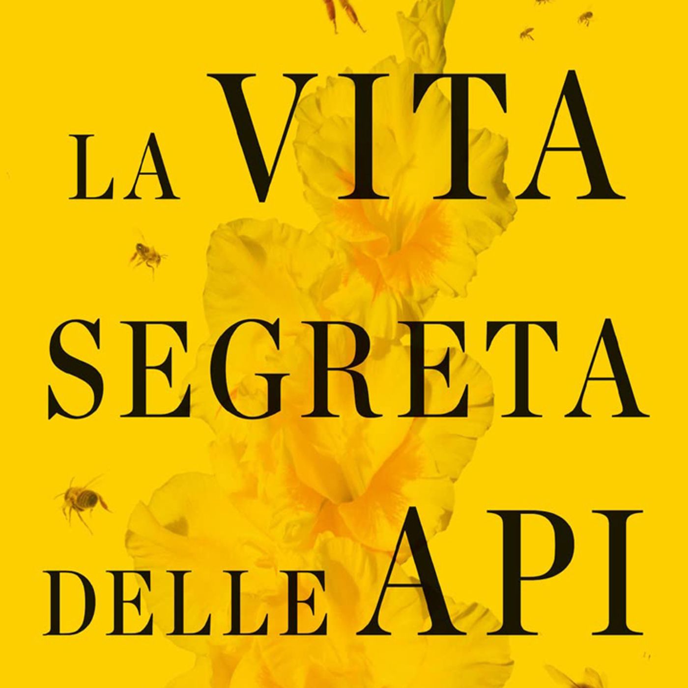 Marco Valsesia: l'ape è l'indicatore della salute del nostro ecosistema