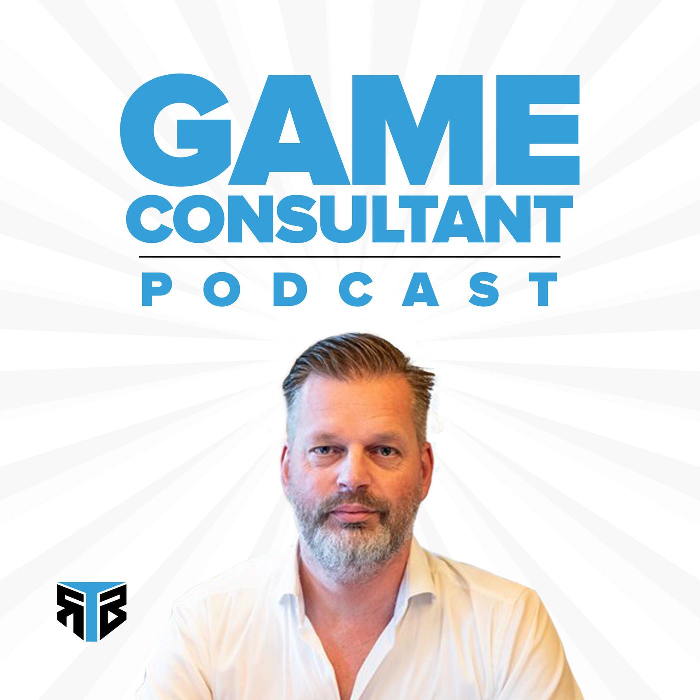Game Consultant