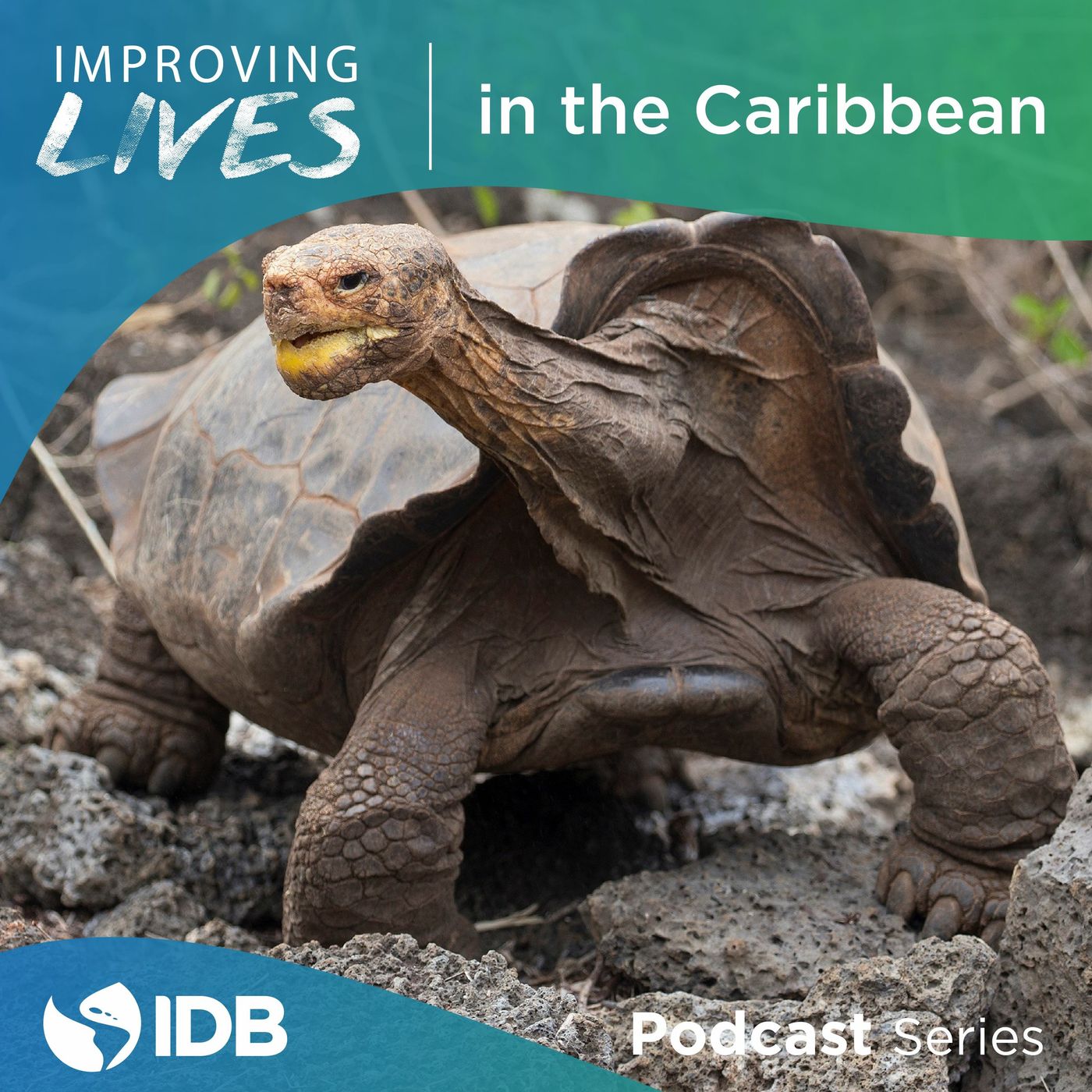Improving Lives in the Caribbean
