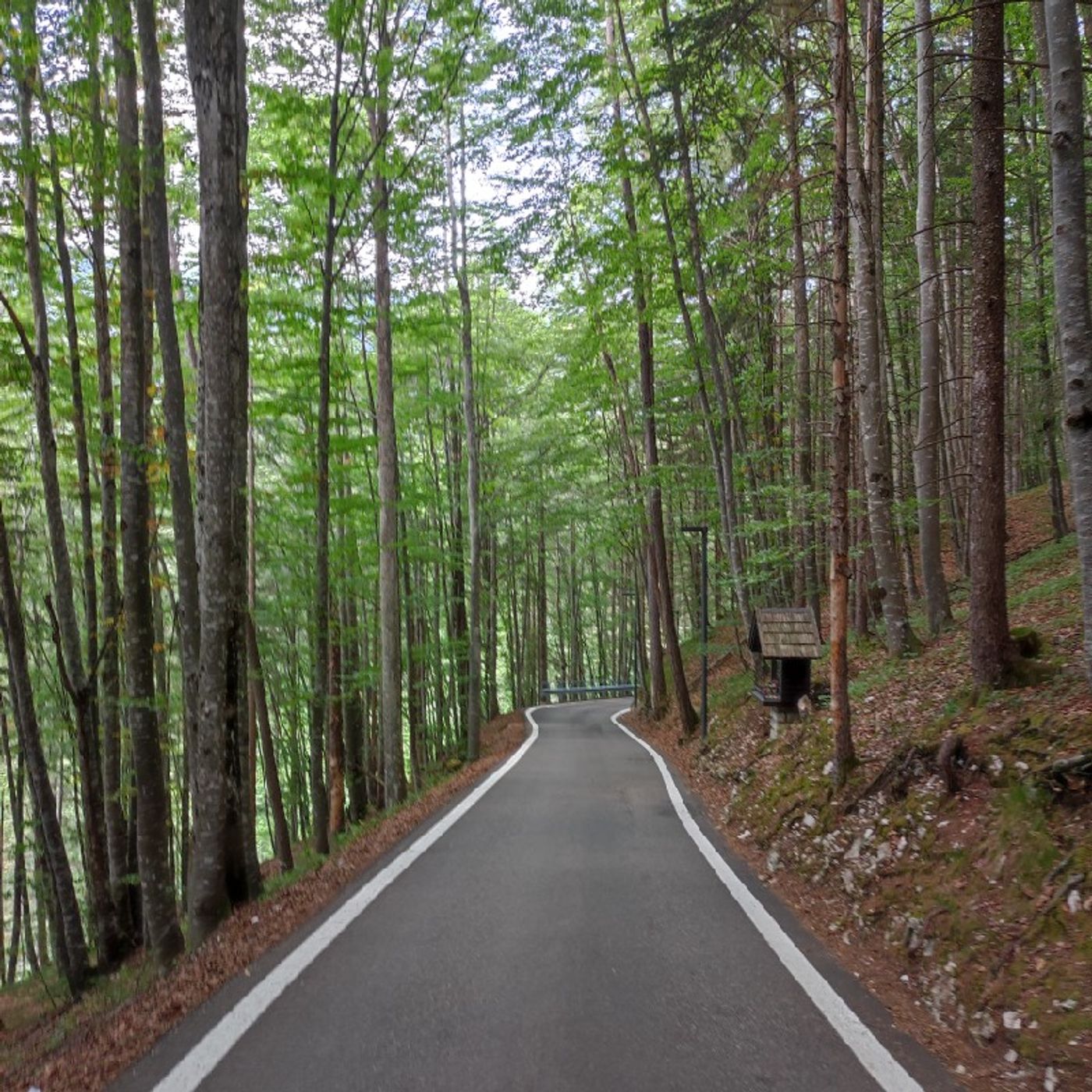 Episodio 388 - ETF + BitCoin = Crypto FIRE