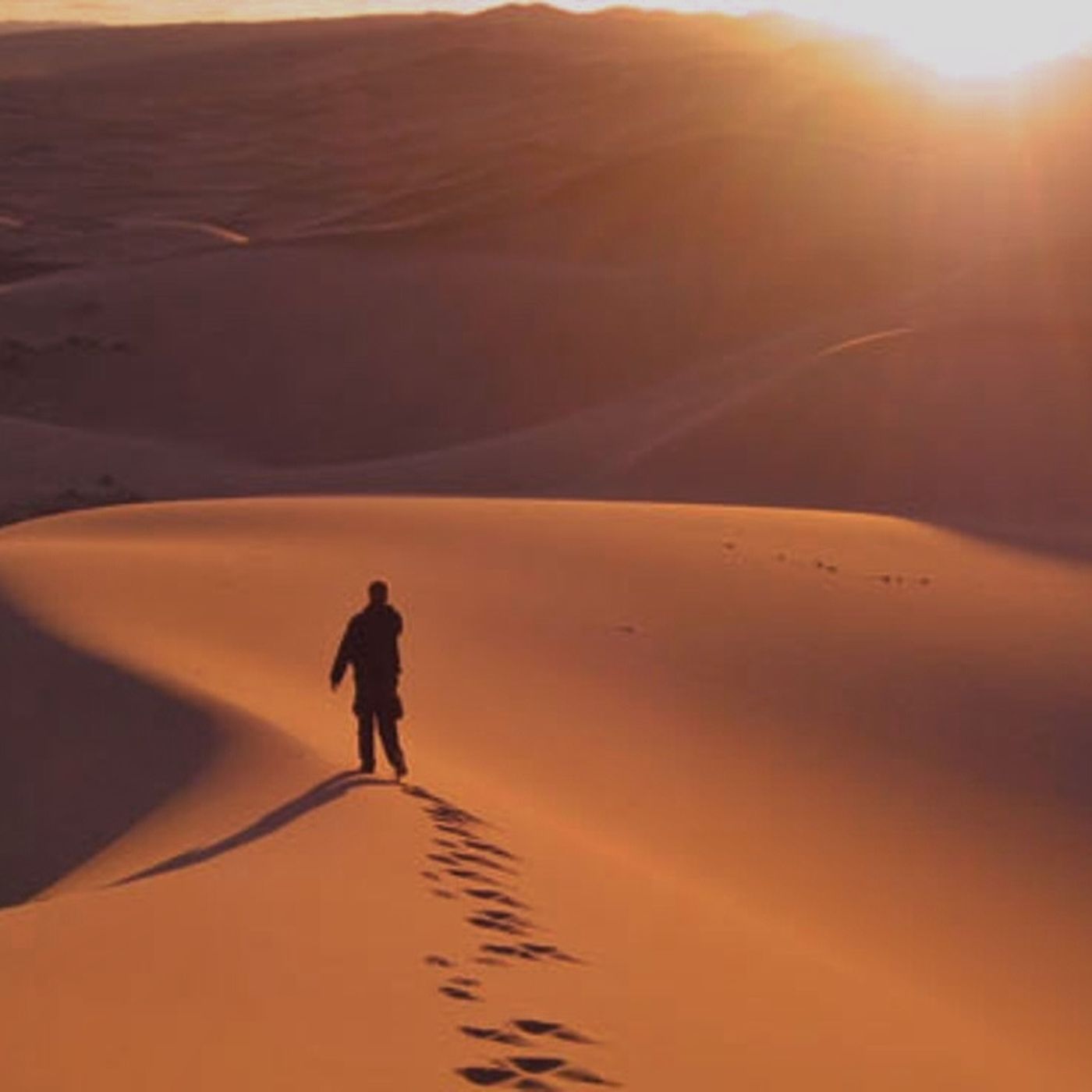 Mana en el desierto