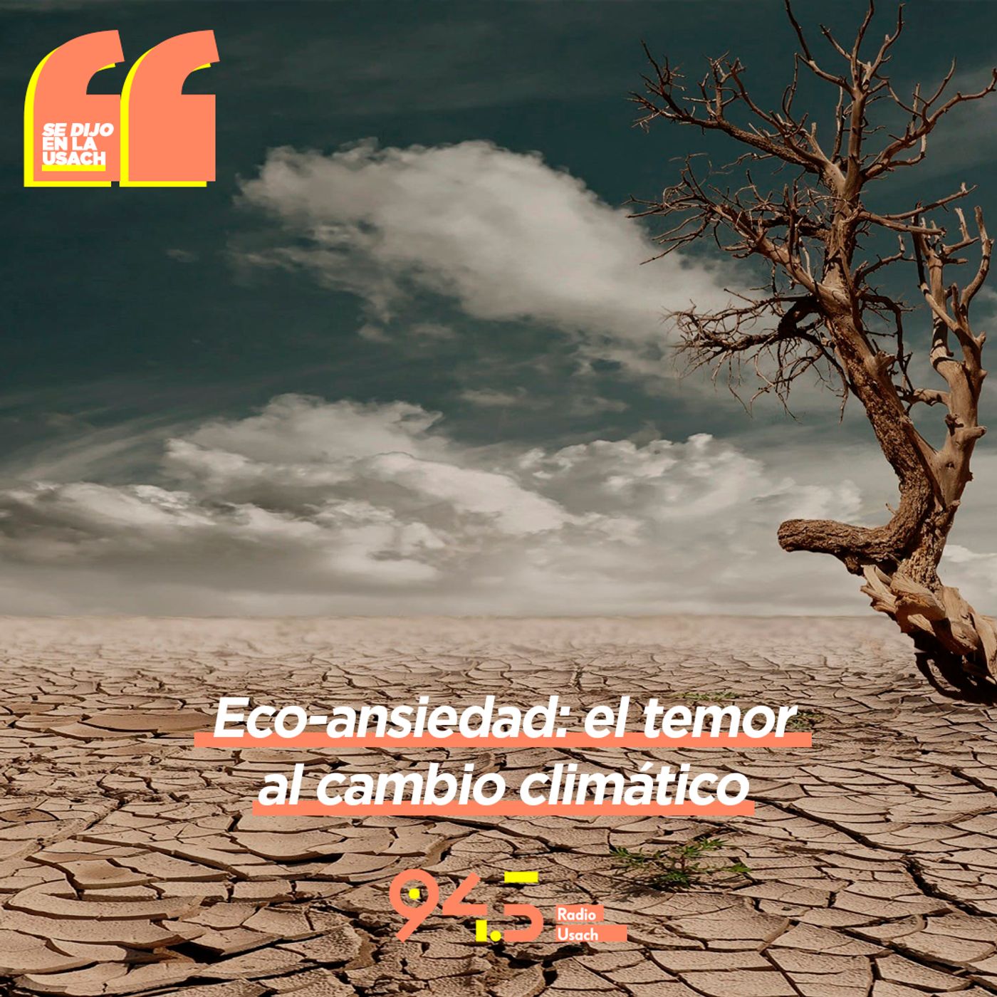 Se dijo en la Usach