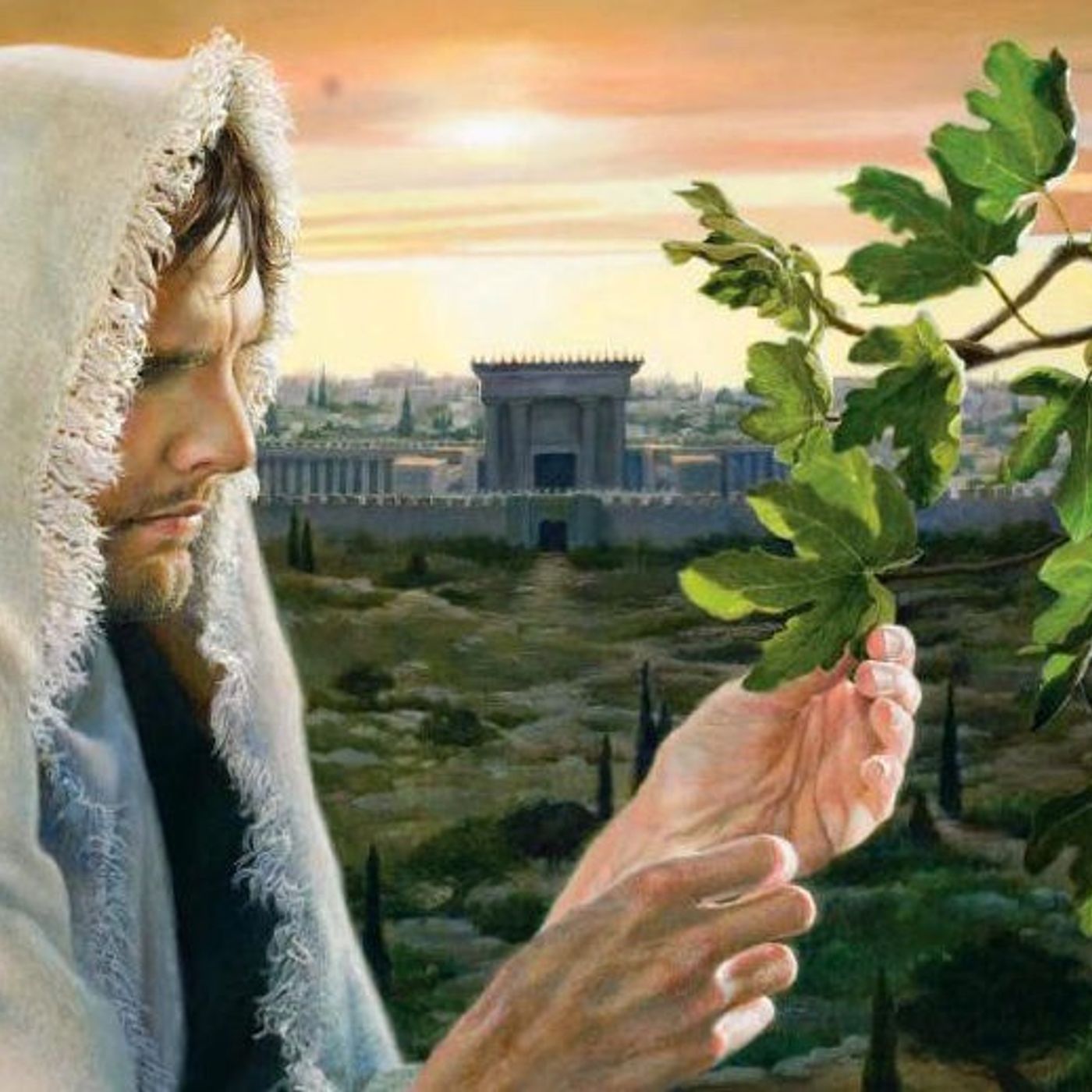 Il Vangelo Tutti I Santi Giorni