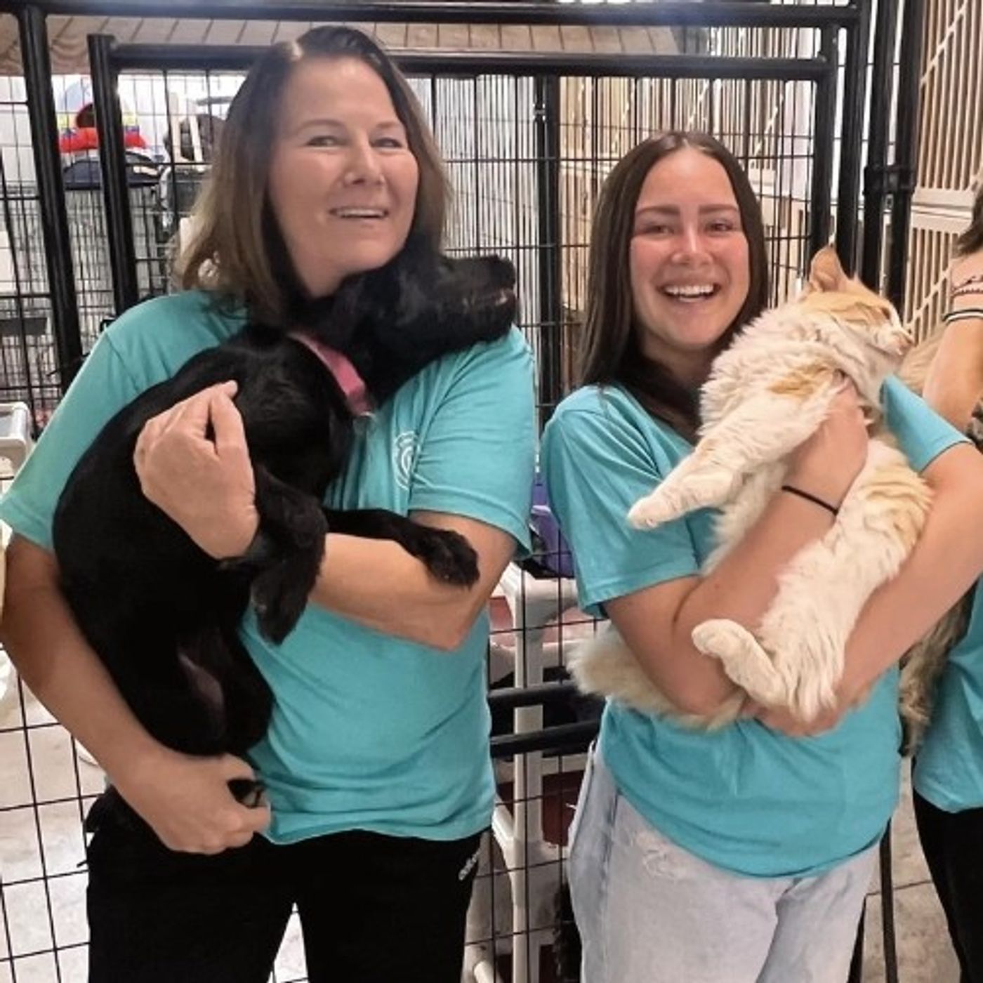 Local Spanish Fork Animal Rescue Now Offers Free Dog and Cat Food to Families in Need episode artwork