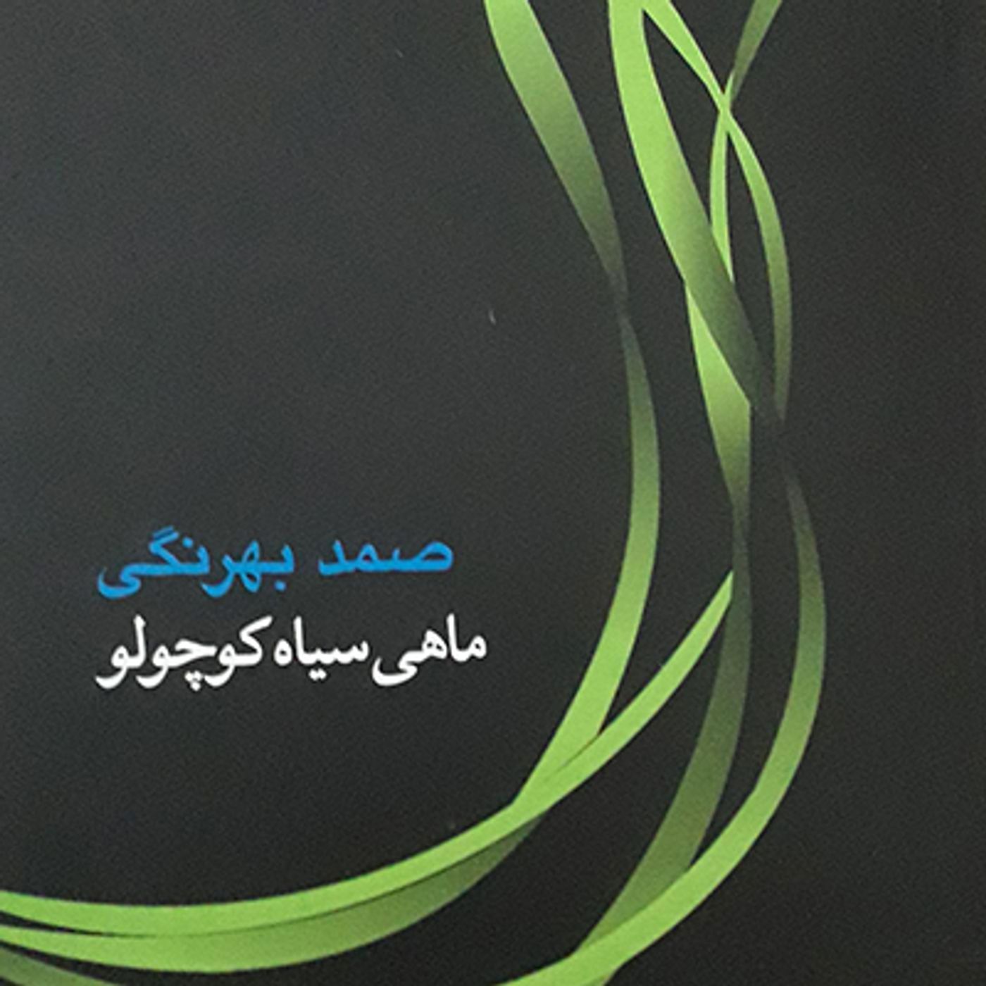 داستان ماهی سیاه کوچولو