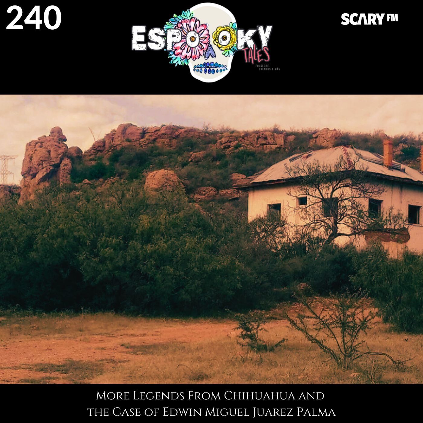 More Legends From Chihuahua and the Case of Edwin Miguel Juarez Palma